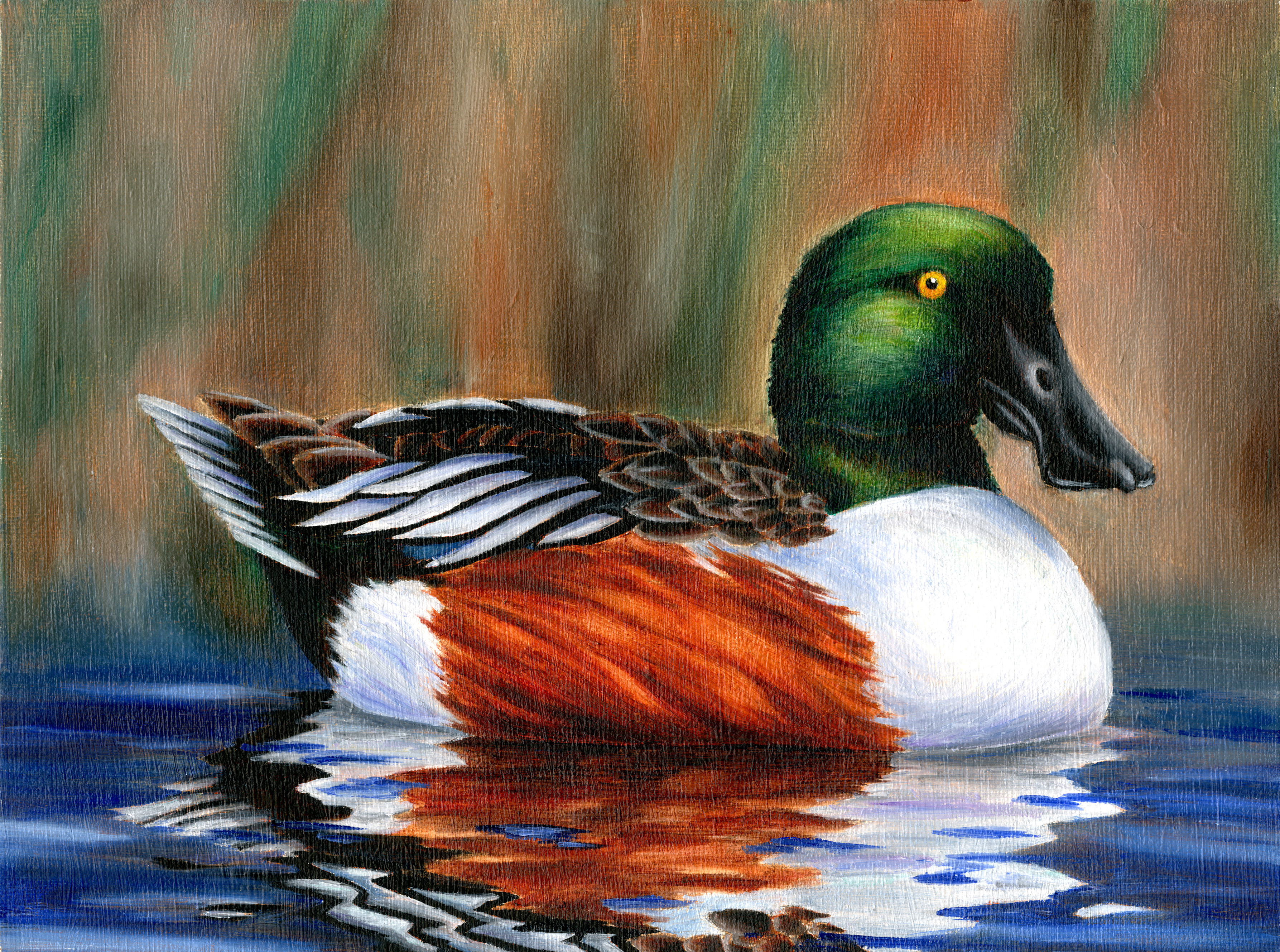 The finalist from New Hampshire for the 2011 Junior Duck Stamp Art Contest. (5597886147)
