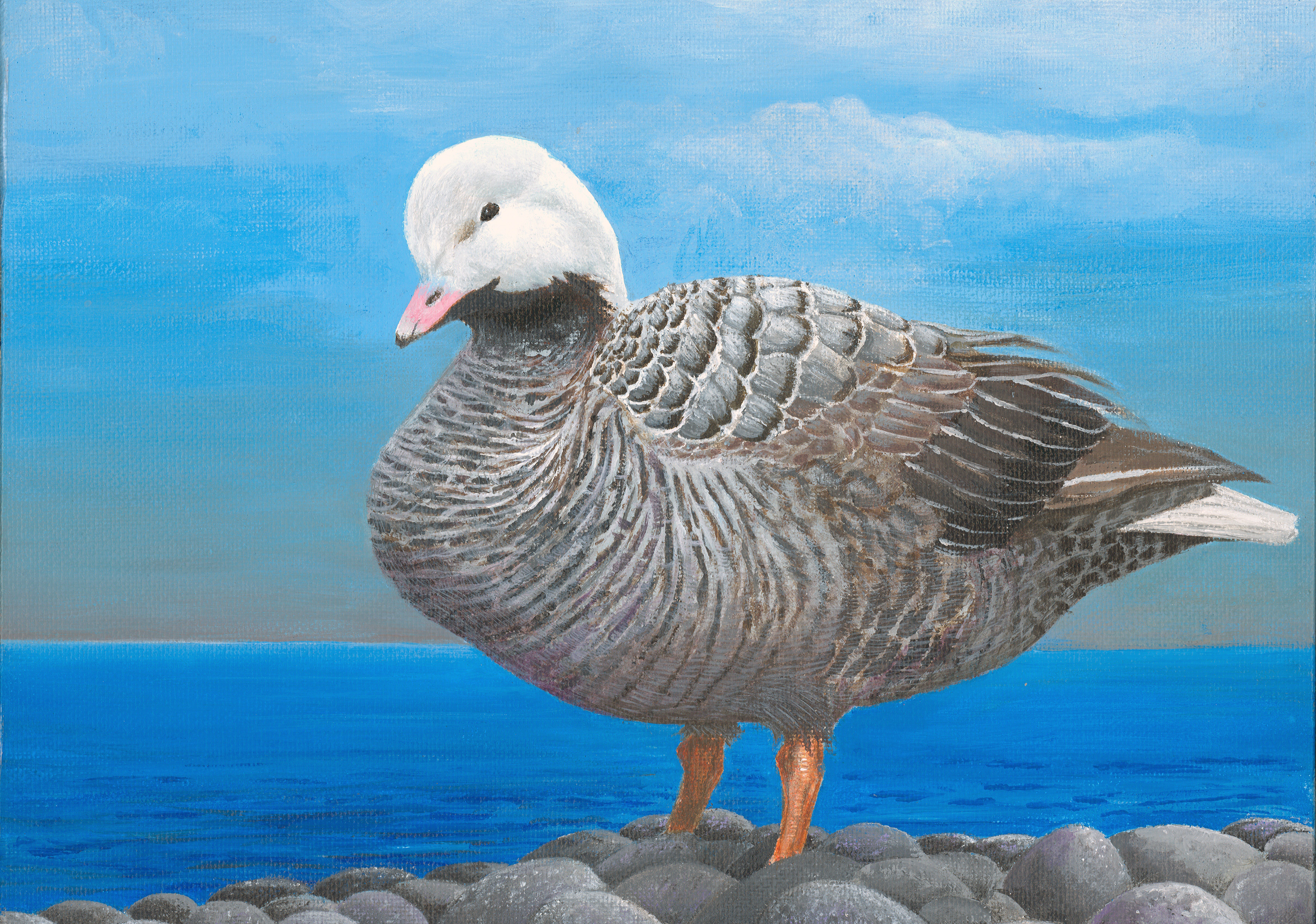 The finalist from New York for the 2011 Junior Duck Stamp Art Contest. (5598450714)