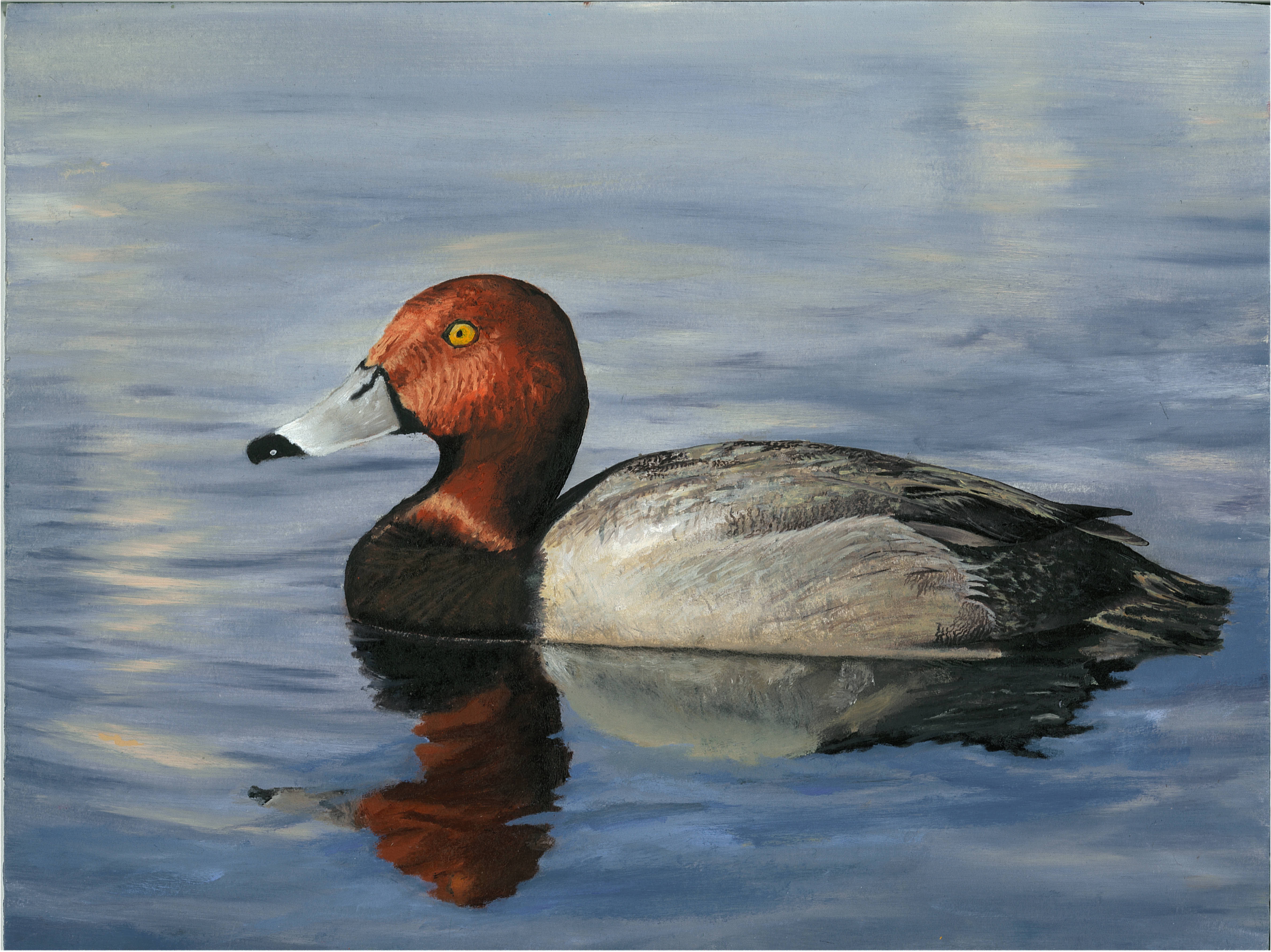 The finalist from North Dakota for the 2011 Junior Duck Stamp Art Contest. (5597876829)