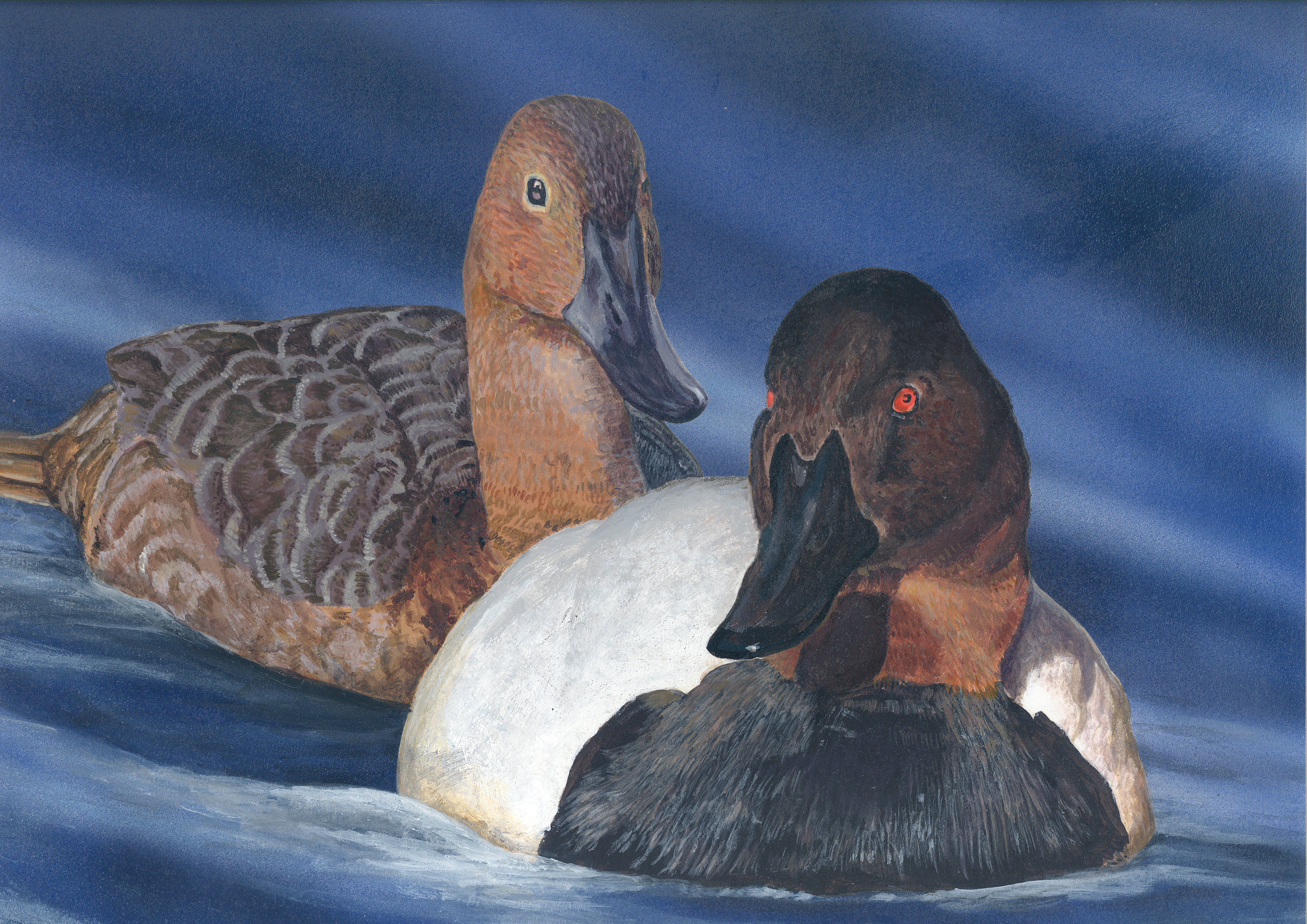 The finalist from Pennsylvania for the 2011 Junior Duck Stamp Art Contest. (5597878515)