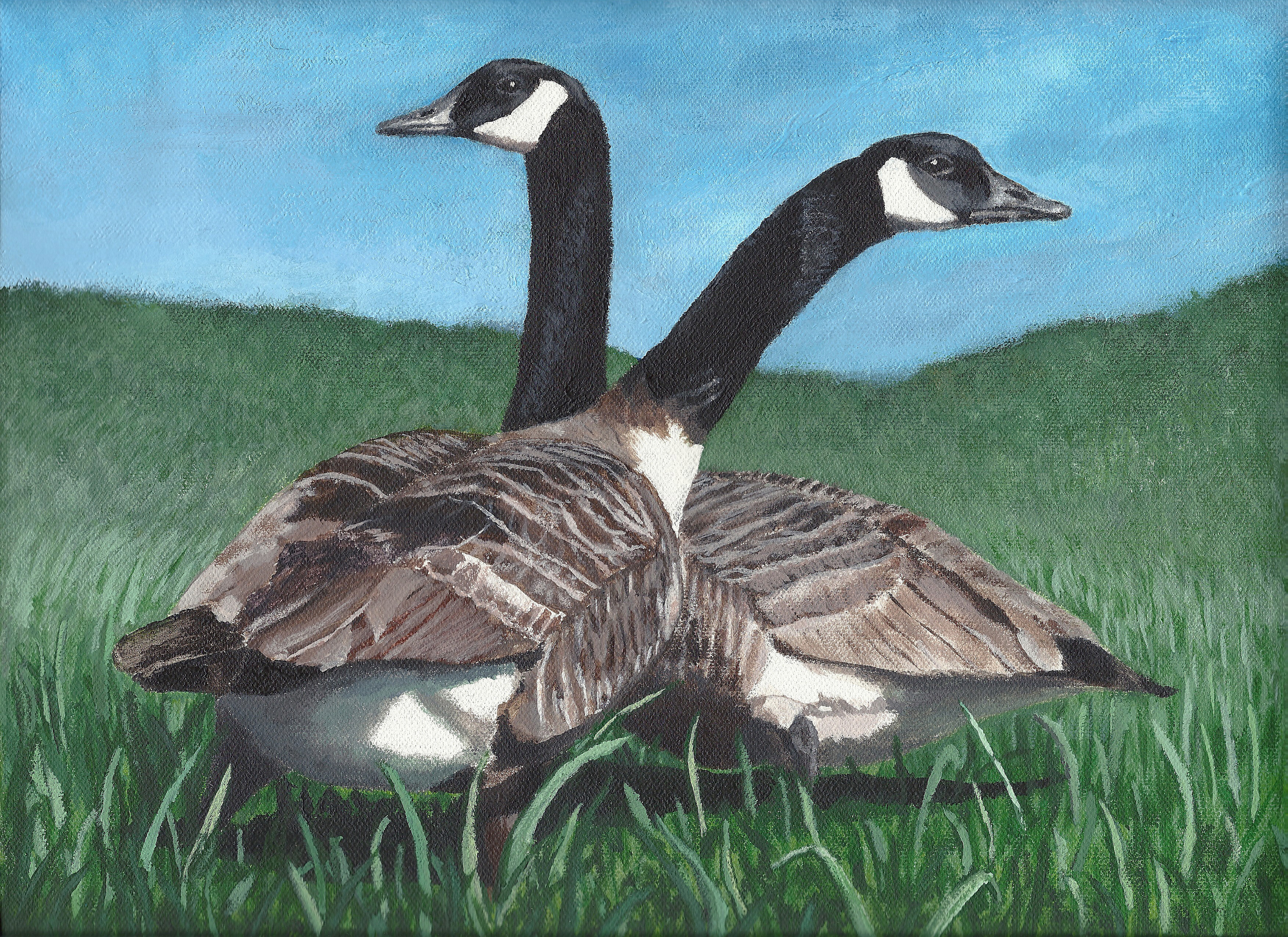 The finalist from West Virginia for the 2011 Junior Duck Stamp Art Contest. (5597884161)