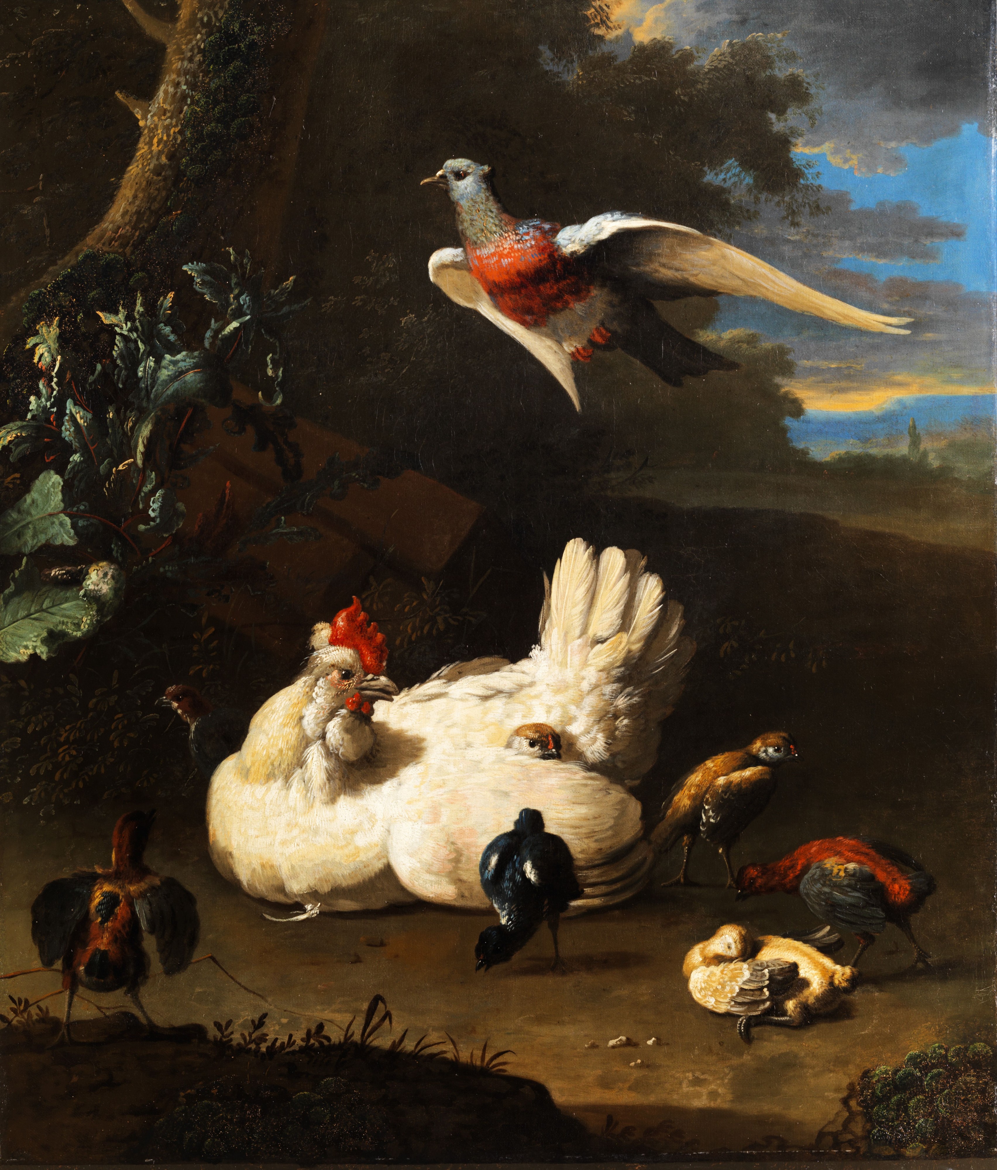 Melchior d Hondecoeter Federvieh