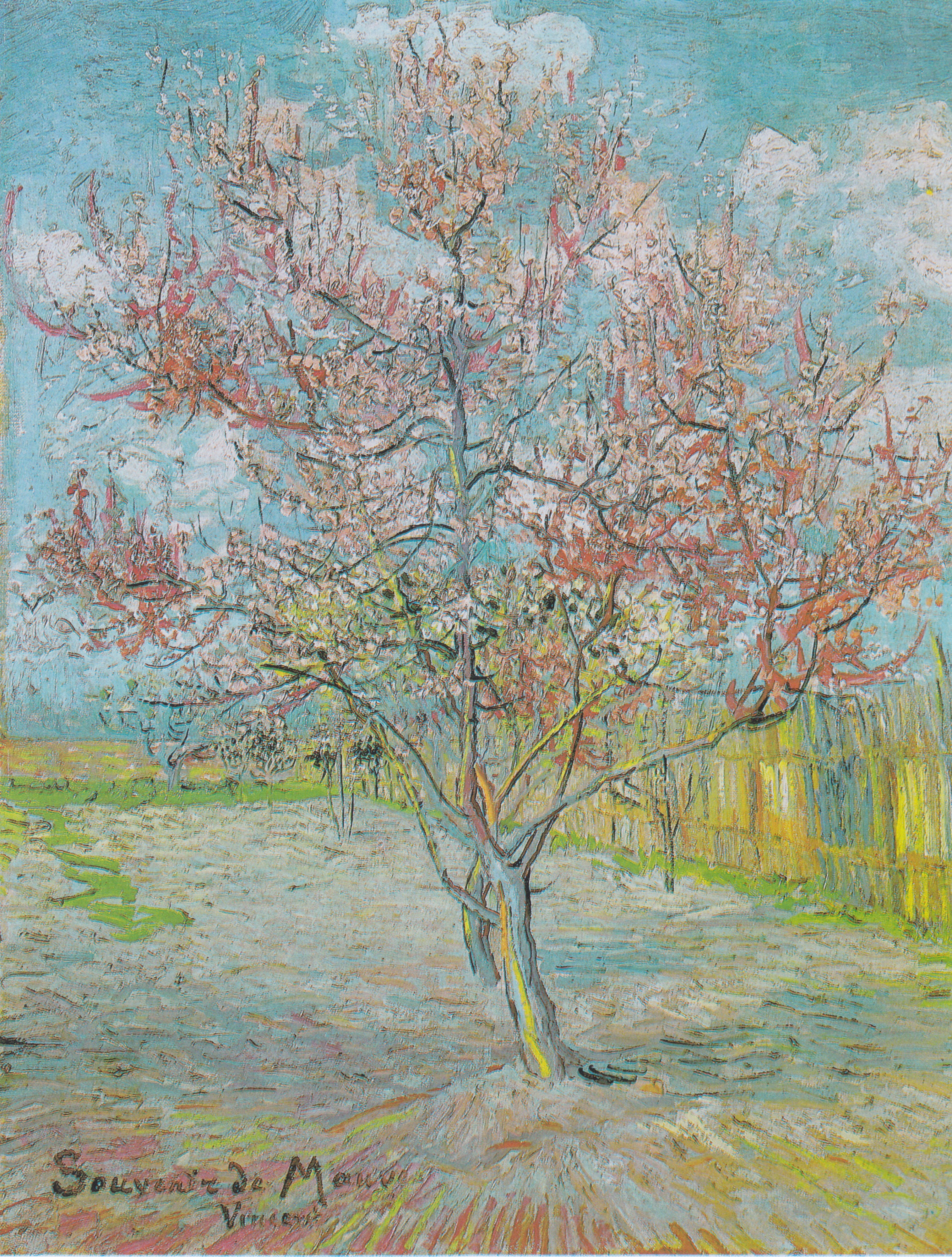 Van Gogh - Blühender Pfirsichbaum