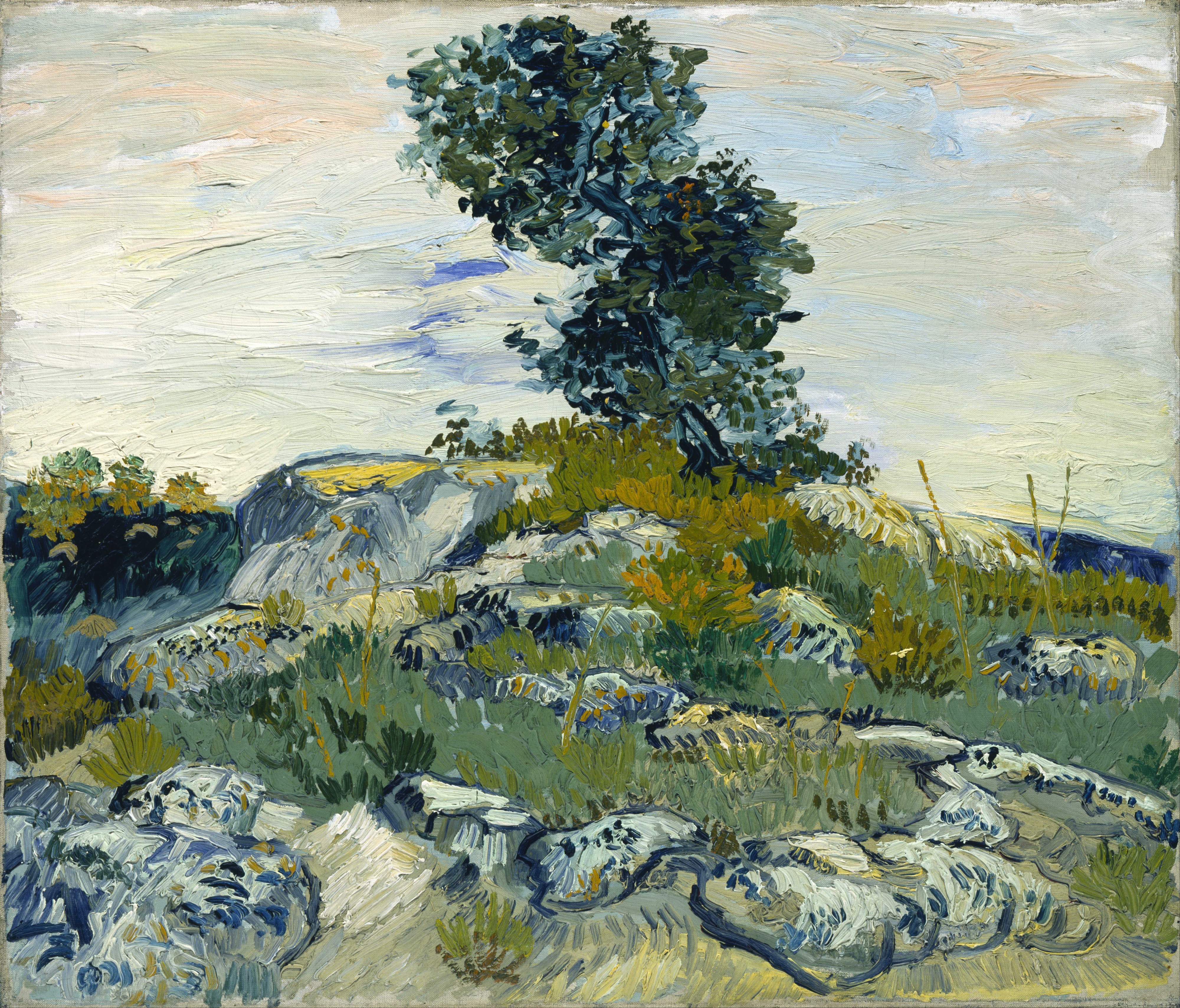 Vincent van Gogh - The Rocks - Google Art Project
