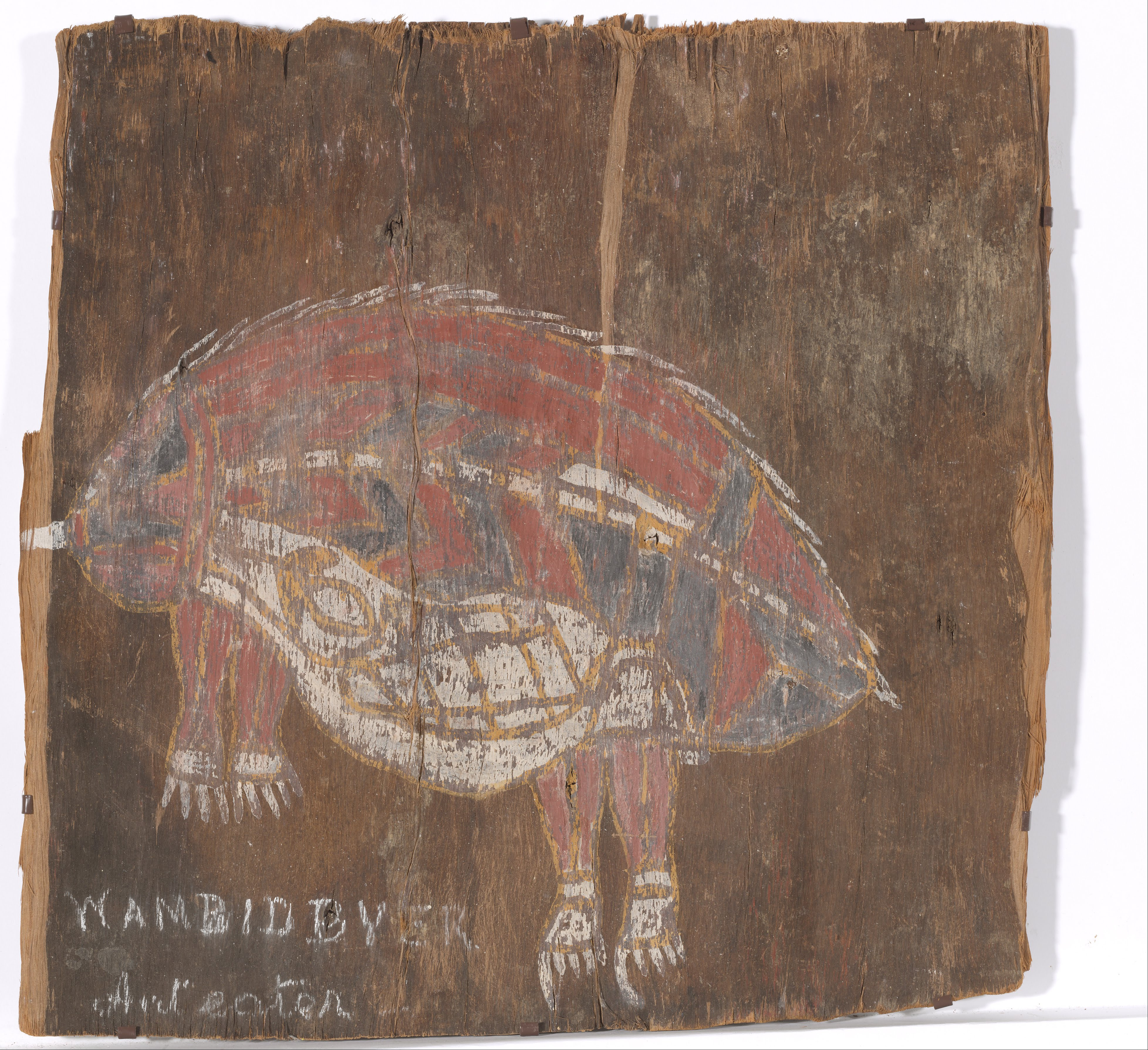 Unknown ARTIST - Kunwinjku people - Wambiddyer anteater - Google Art Project