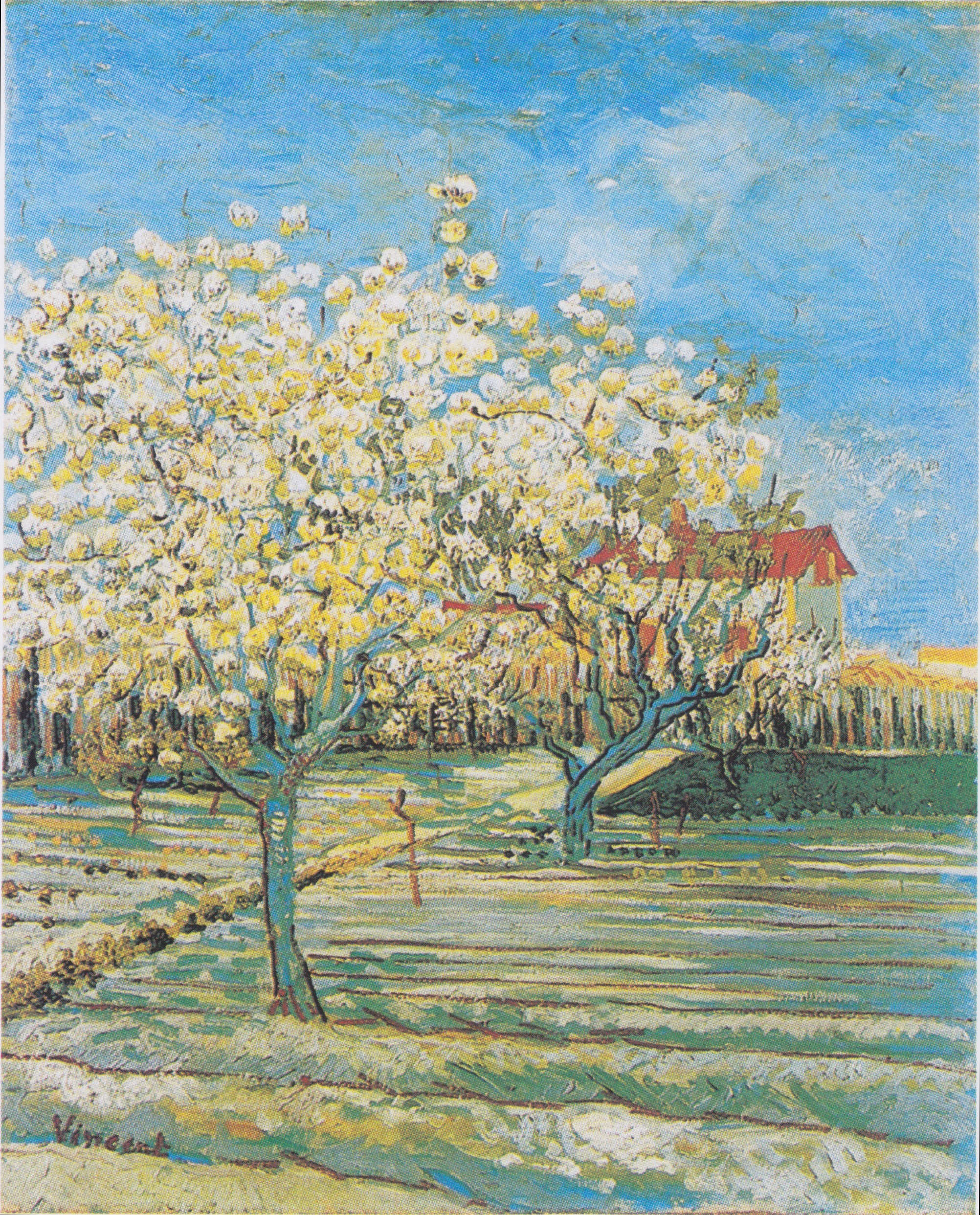 Van Gogh - Blühender Obstgarten2