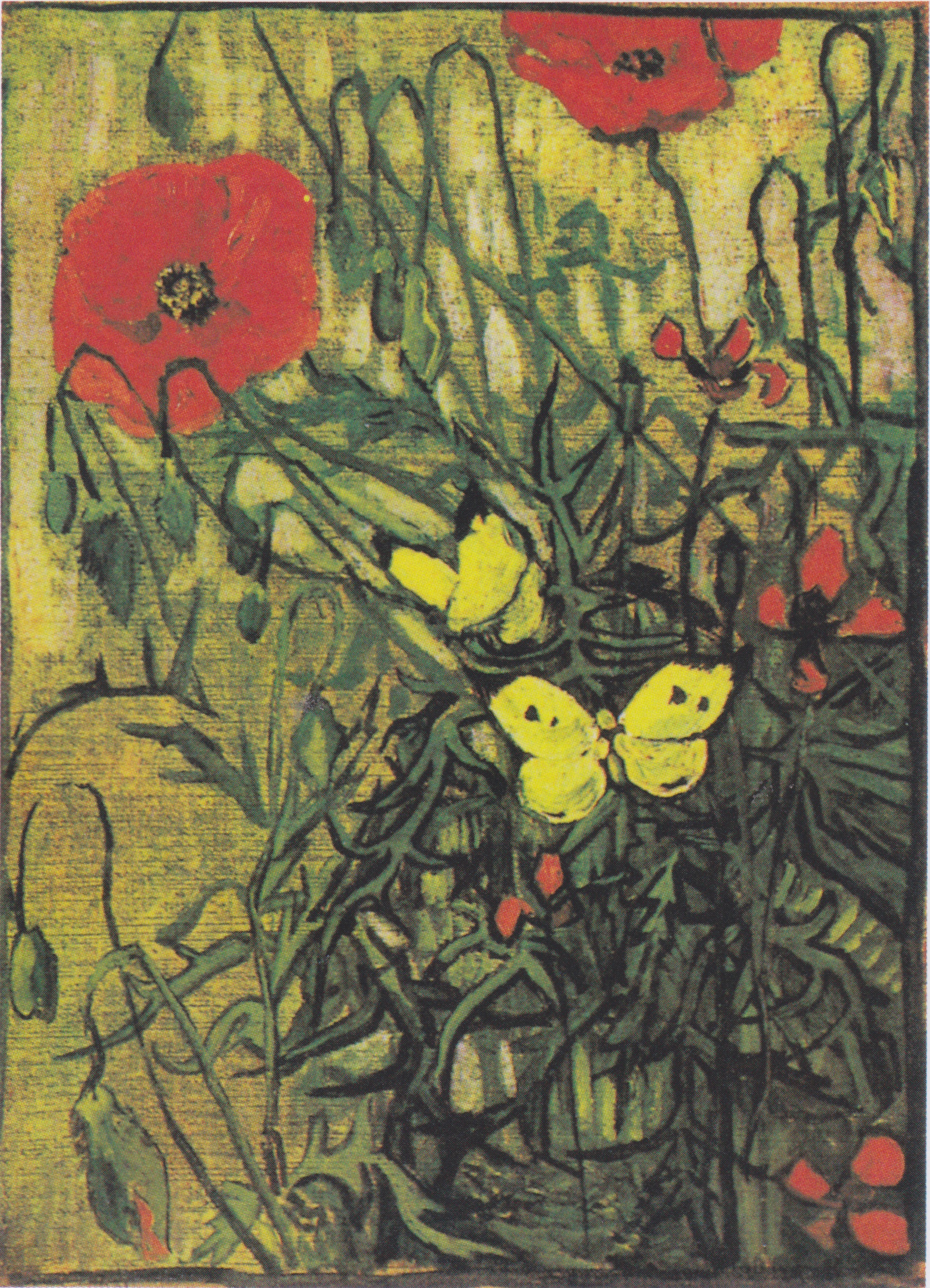 Van Gogh - Klatschmohn und Schmetterlinge
