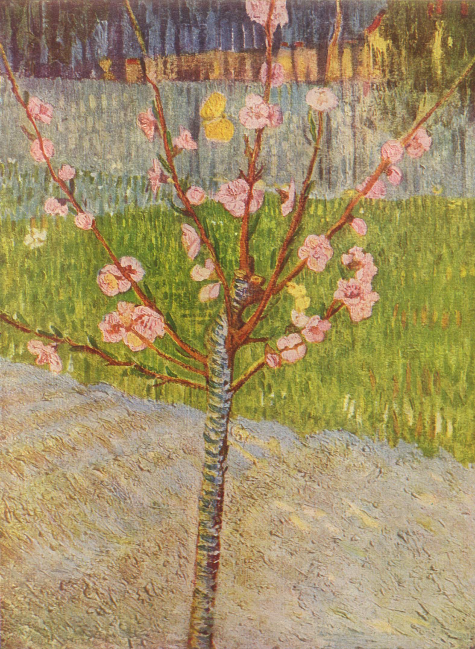 Vincent Willem van Gogh 013