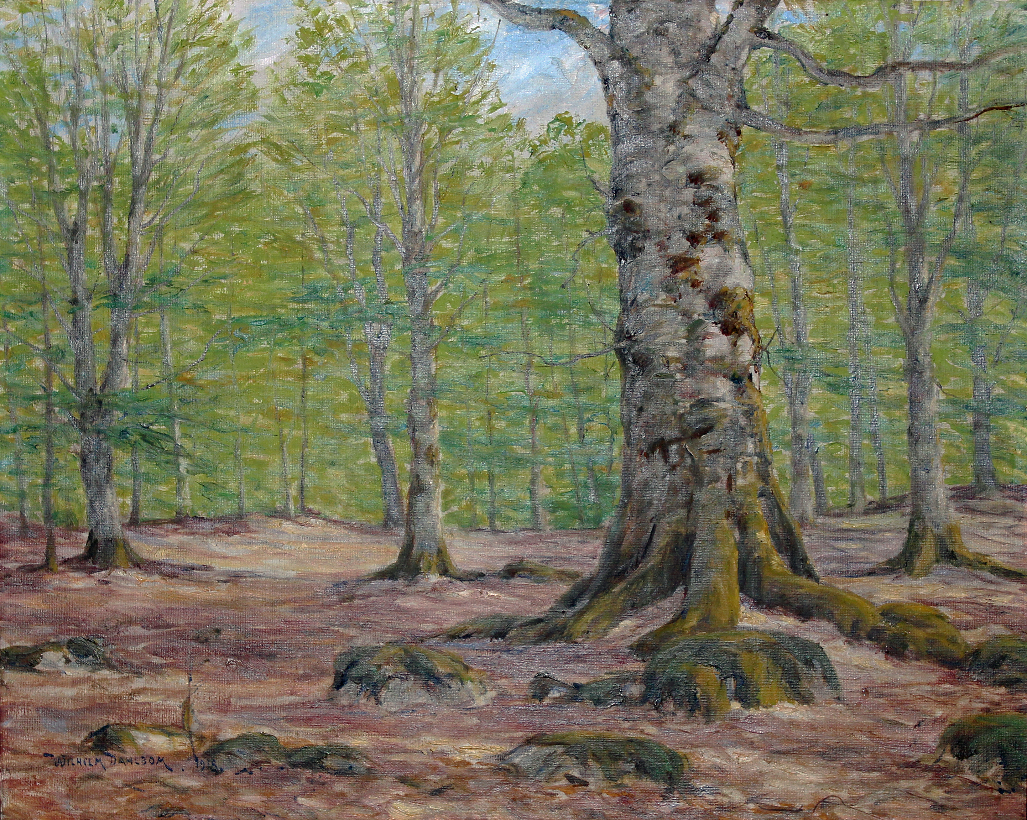 Wilhelm Dahlbom - Bokskog i vårgrönska