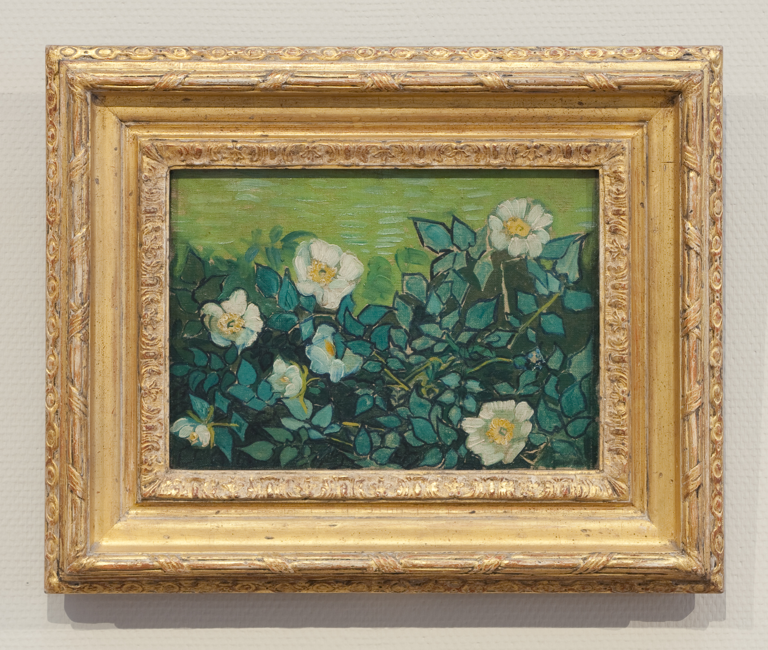 WLANL - Pachango - Wilde rozen, Vincent van Gogh (1890)