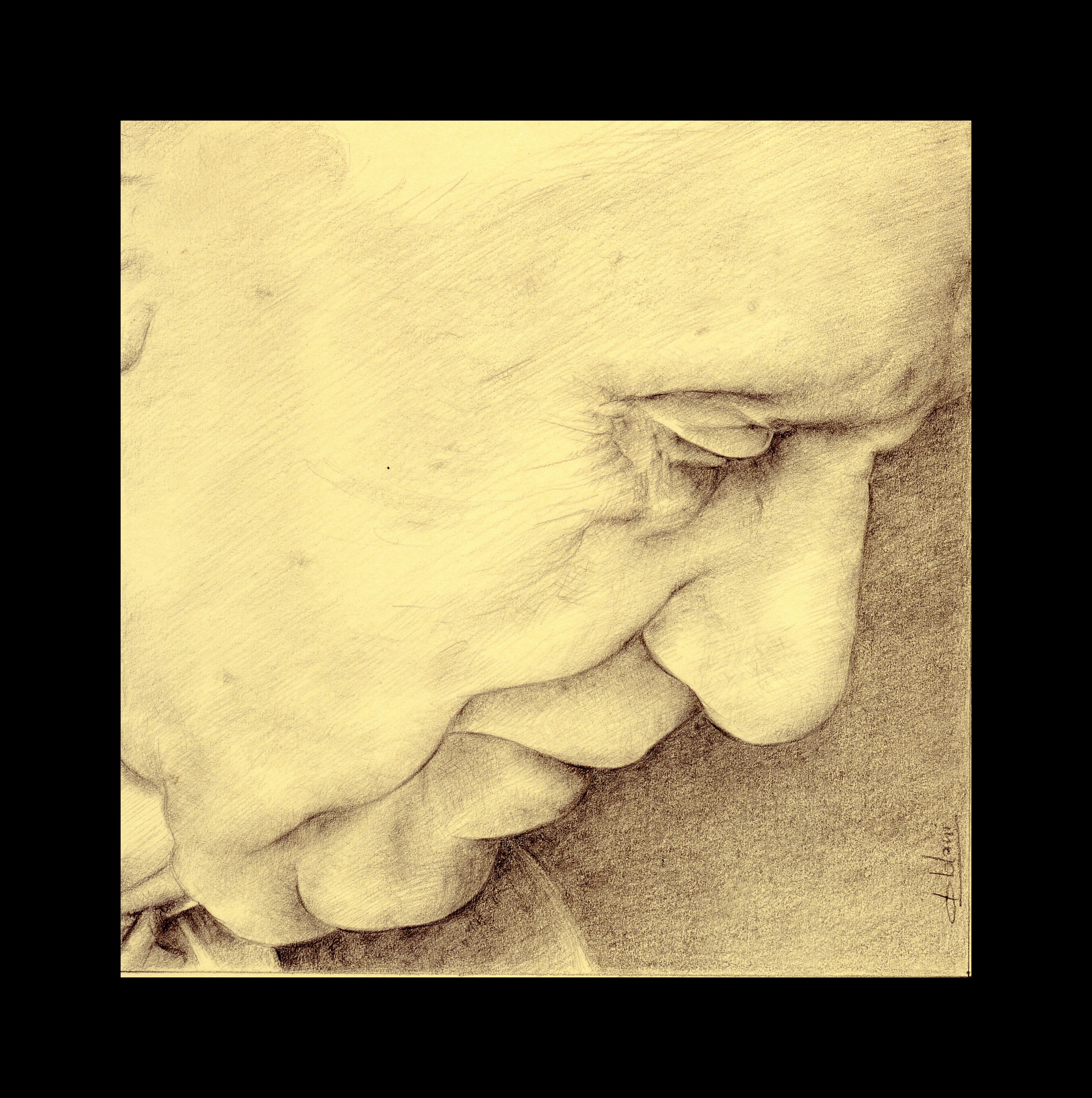 Benedetto XVI disegno