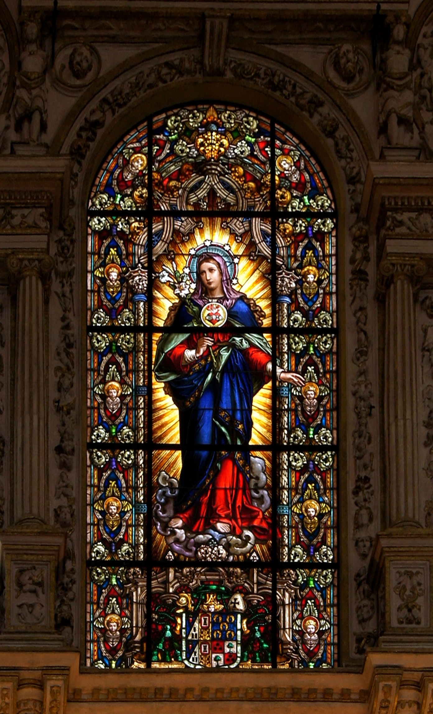 Immaculate heart virgin mary catedral cordoba