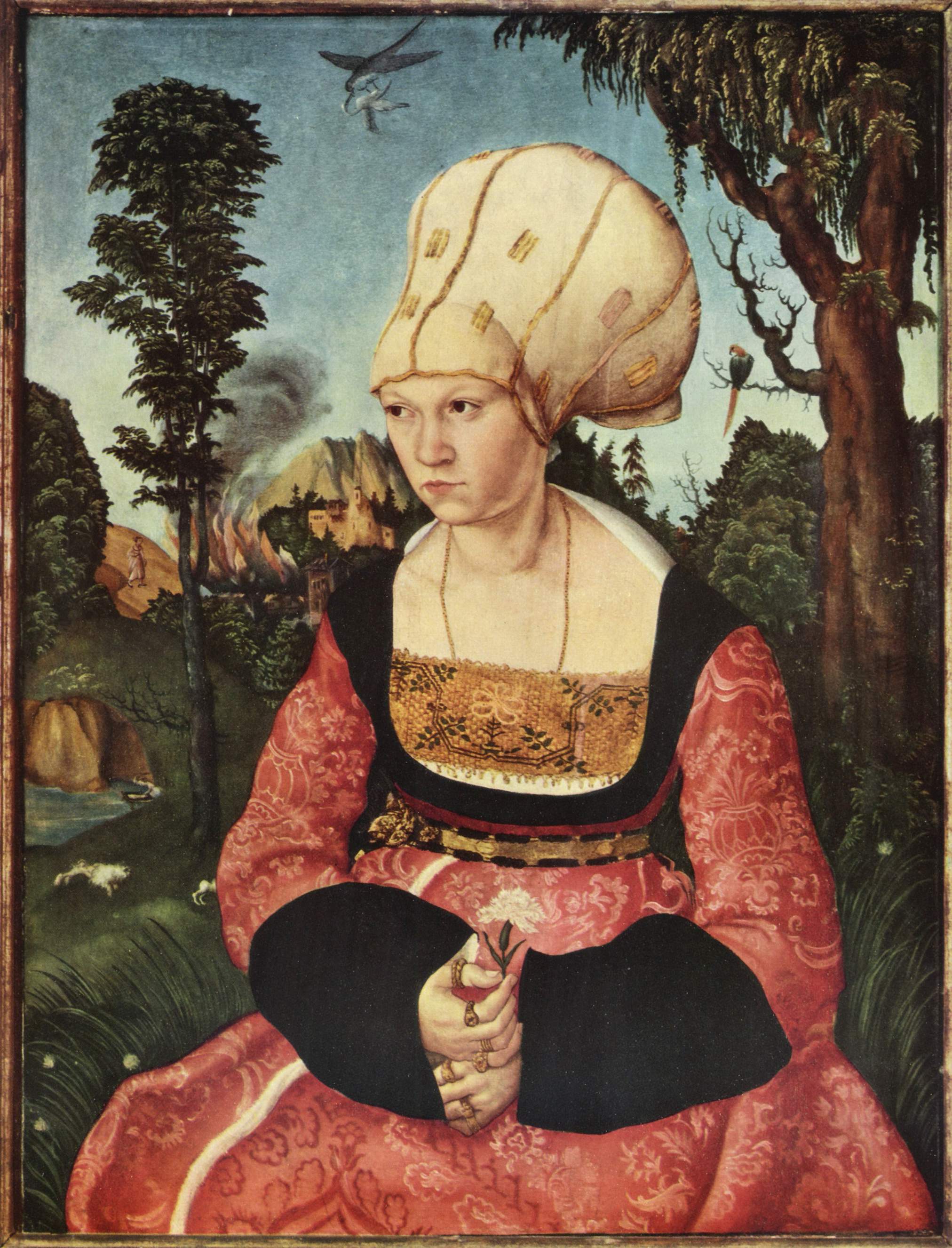 Lucas Cranach (I) - Anna Cuspinian