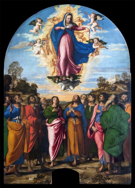 Accademia - Assumption of the Virgin by Palma il Vecchio