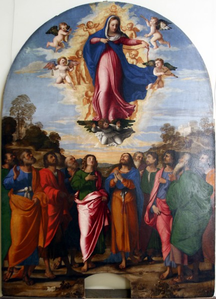 Assumption of the Virgin by Palma il Vecchio - Accademia - Venice 2016 - crop