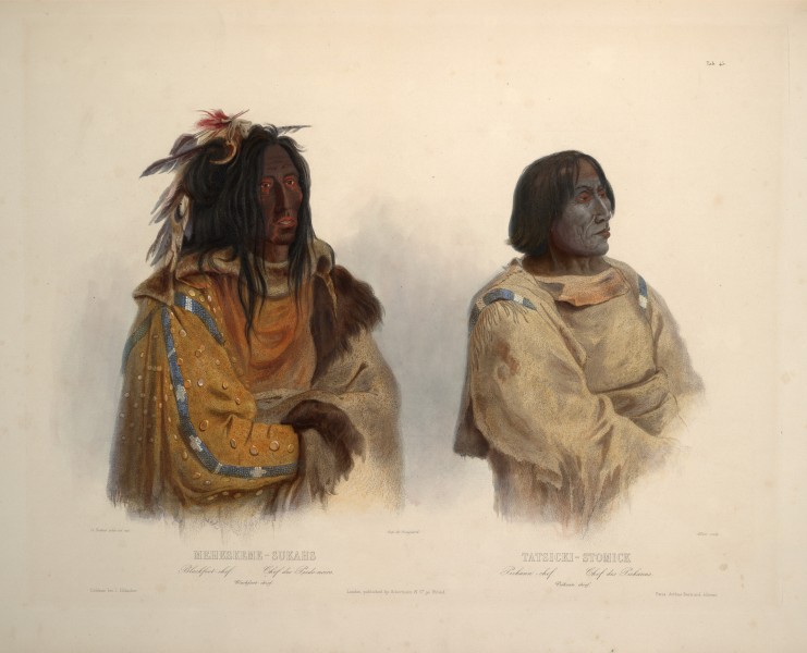 Blackfoot chief and Peikann chief 0078v