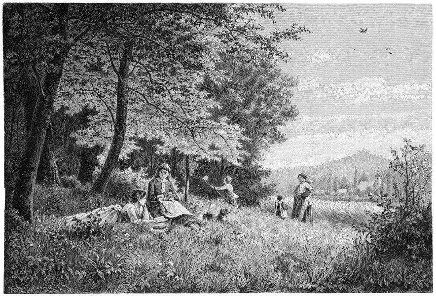 Die Gartenlaube (1880) b 565