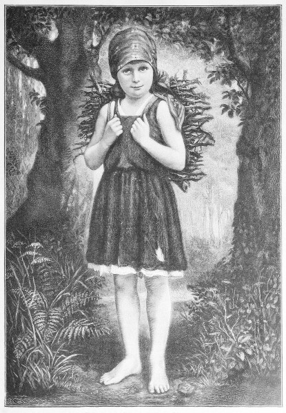 Die Gartenlaube (1886) b 061