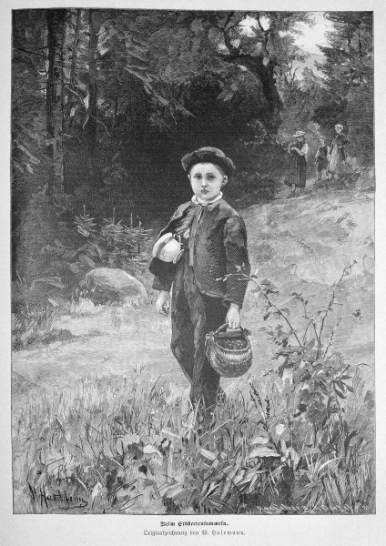 Die Gartenlaube (1887) b 465