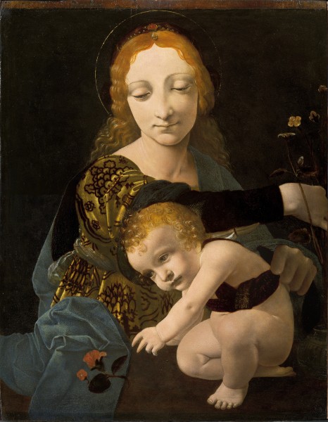Giovanni Antonio Boltraffio - The Virgin and Child (The Madonna of the Rose) - Google Art Project