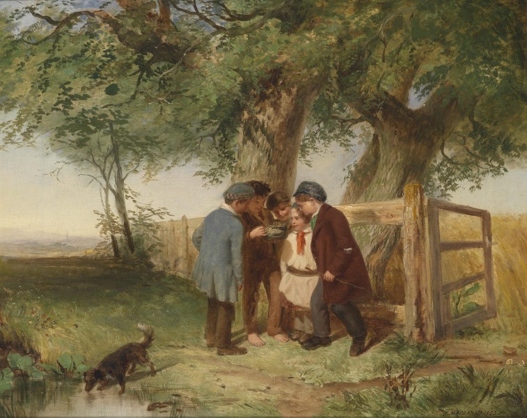 John Blake MacDonald Das Vogelnest 1852
