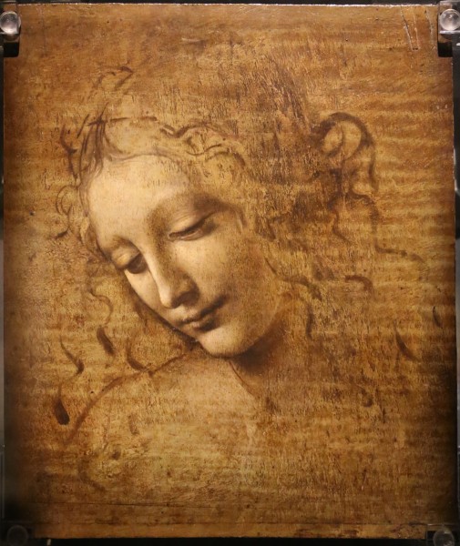 Leonardo da vinci, testa di fanciulla detta la scapigliata, 1500-10 ca., disegno su tavola, 01