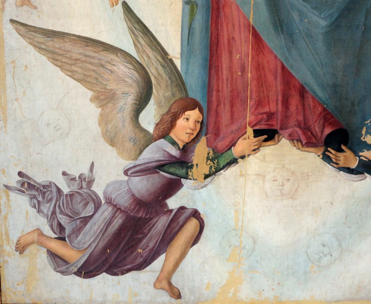 Lorenzo costa, assunta e coro d'angeli, 1480-90 ca., da s. maria assunta in monteveglio, 03