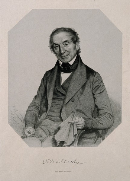 Nathaniel Wallich. Lithograph by T. H. Maguire, 1849. Wellcome V0006129