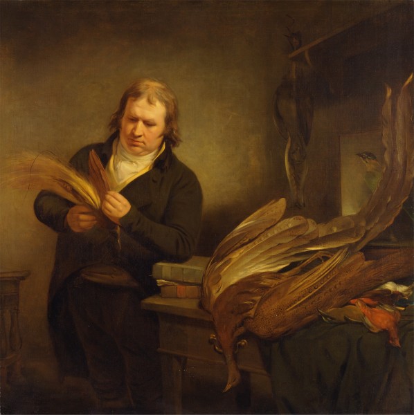 Ramsay Richard Reinagle - An Ornithologist (1802) - Google Art Project