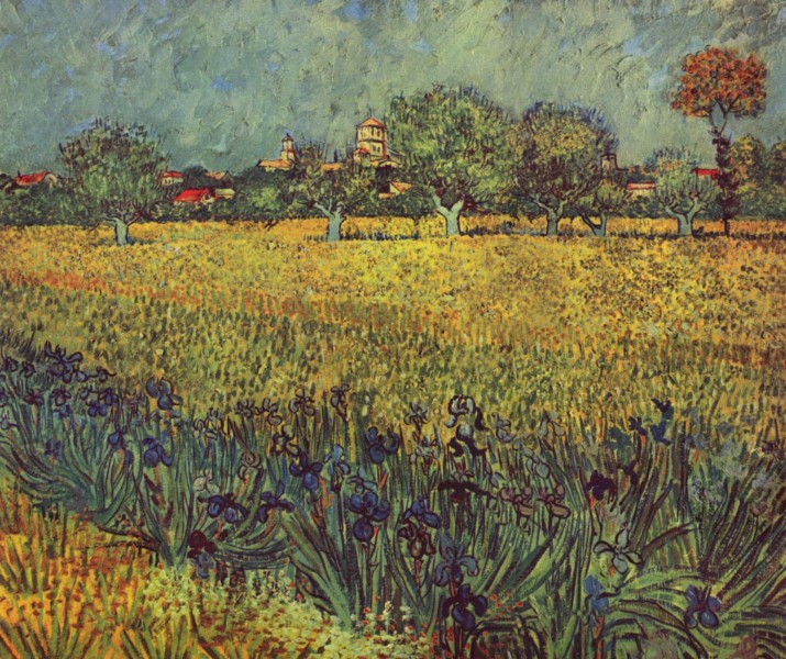 Vincent Willem van Gogh 009