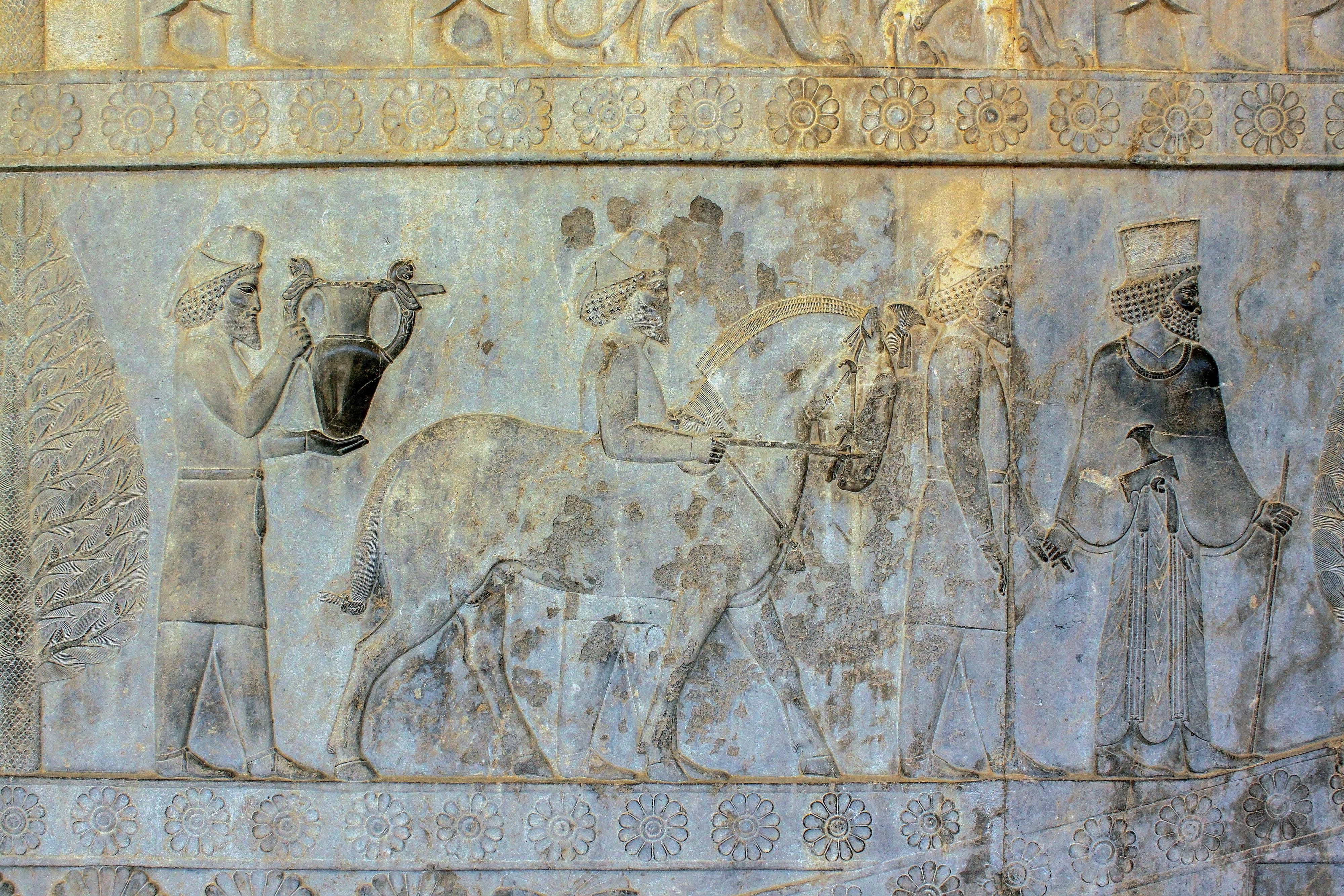 Reliefs in Persepolis نگاره های تخت جمشید 30