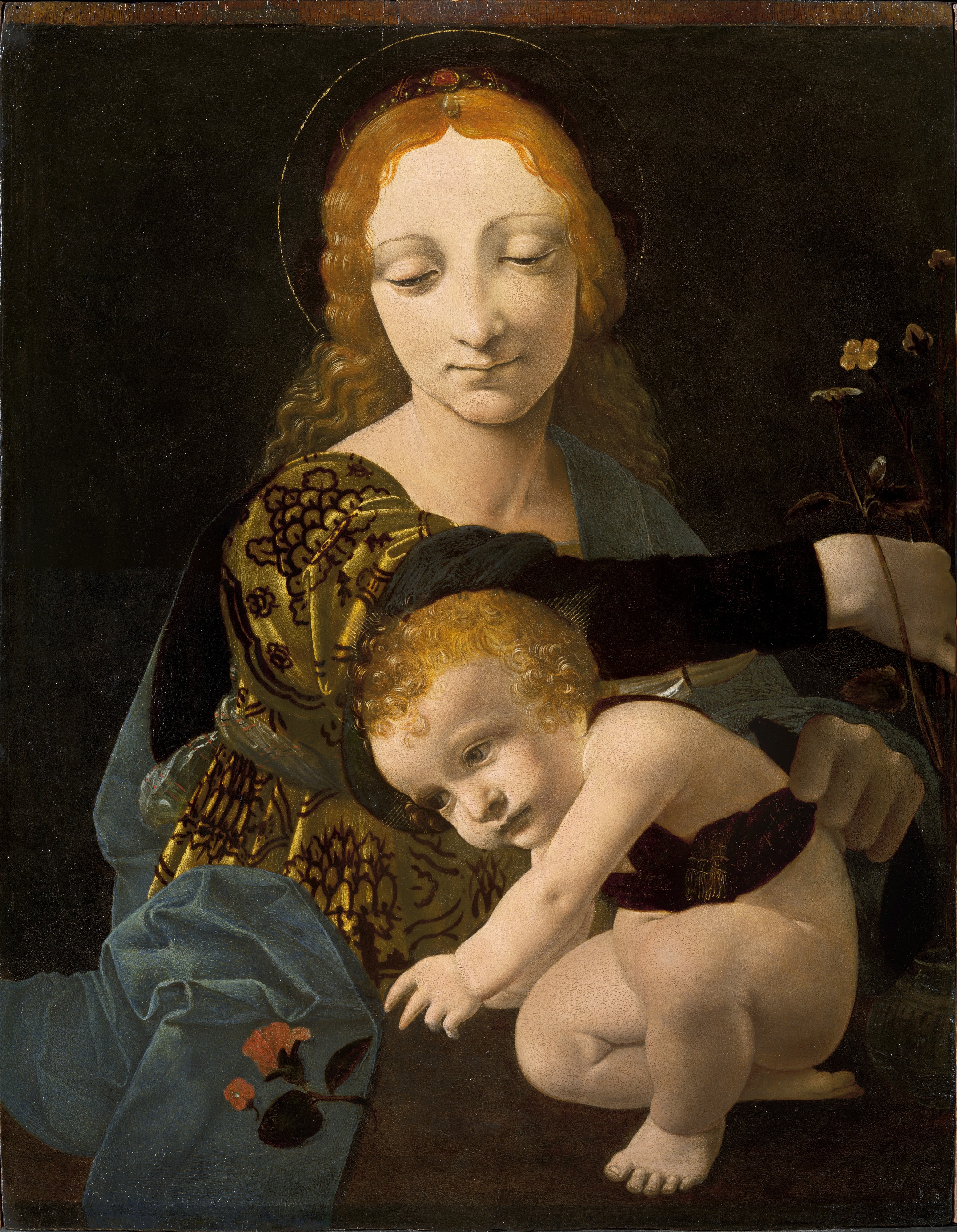 Giovanni Antonio Boltraffio - The Virgin and Child (The Madonna of the Rose) - Google Art Project