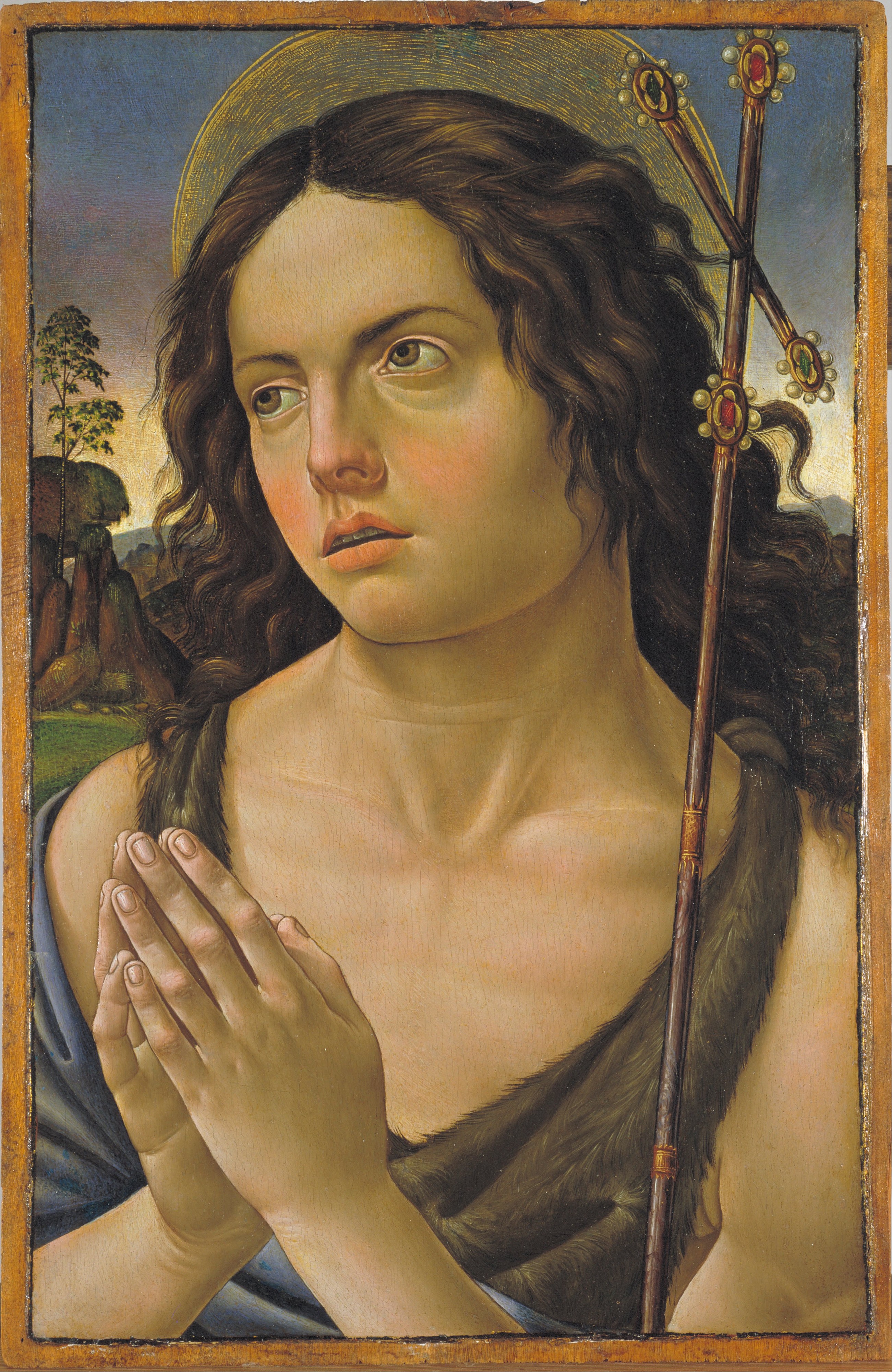 Raffaellino del Garbo - Saint John the Baptist - Google Art Project