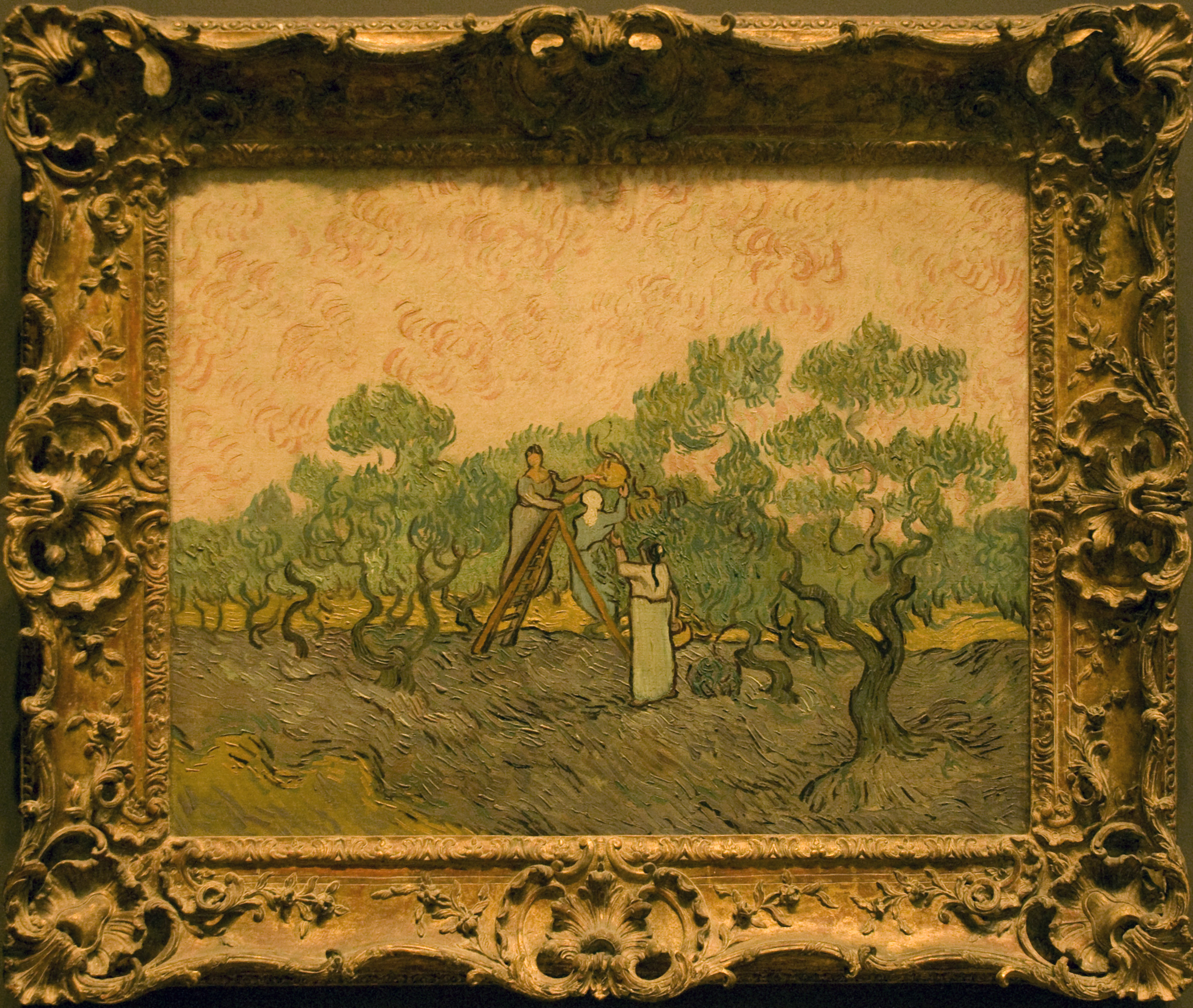 Women Picking Olives
