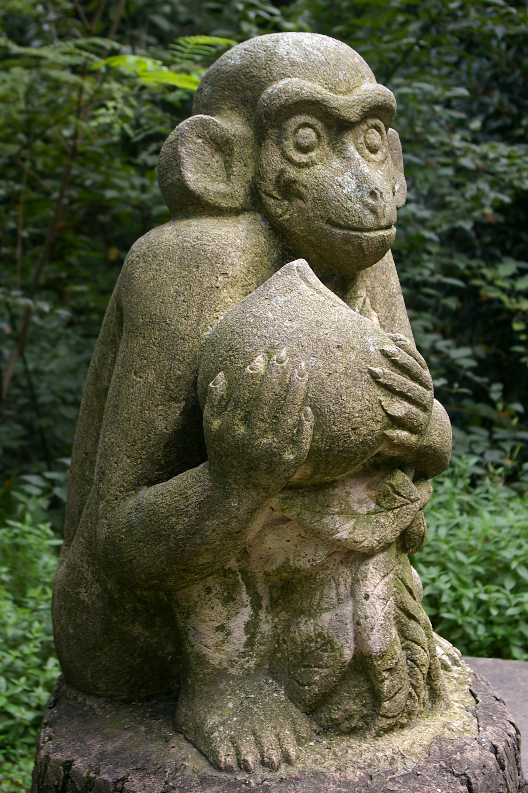 20090912 Moganshan 4859