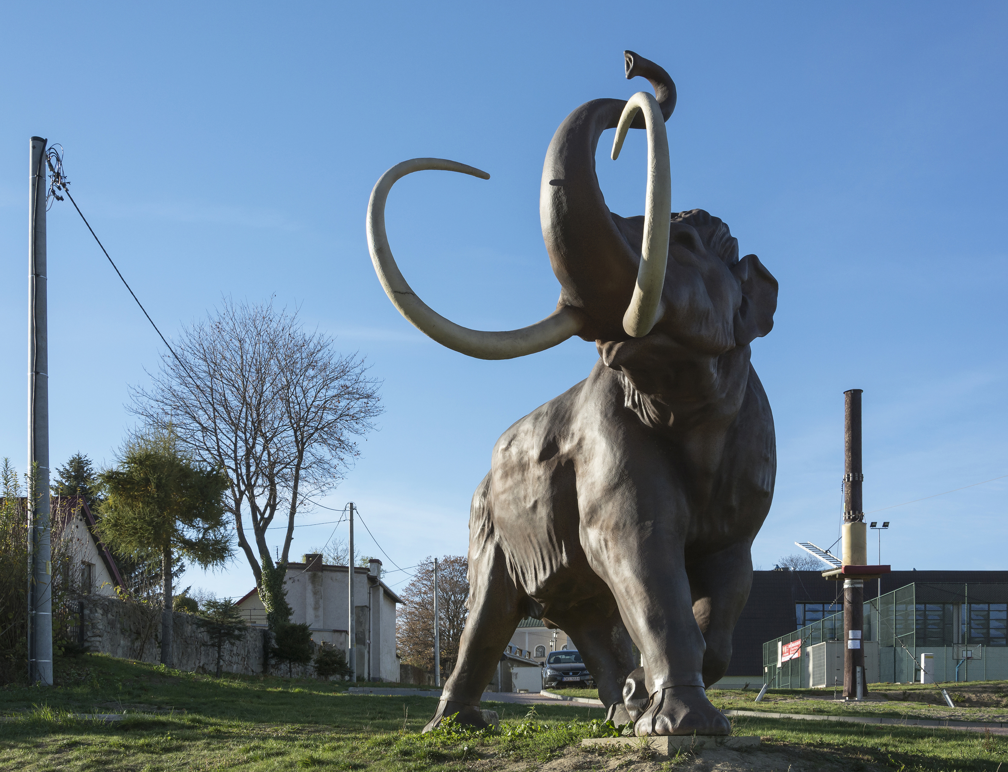 2015 Model mamuta w Szczytnej 01