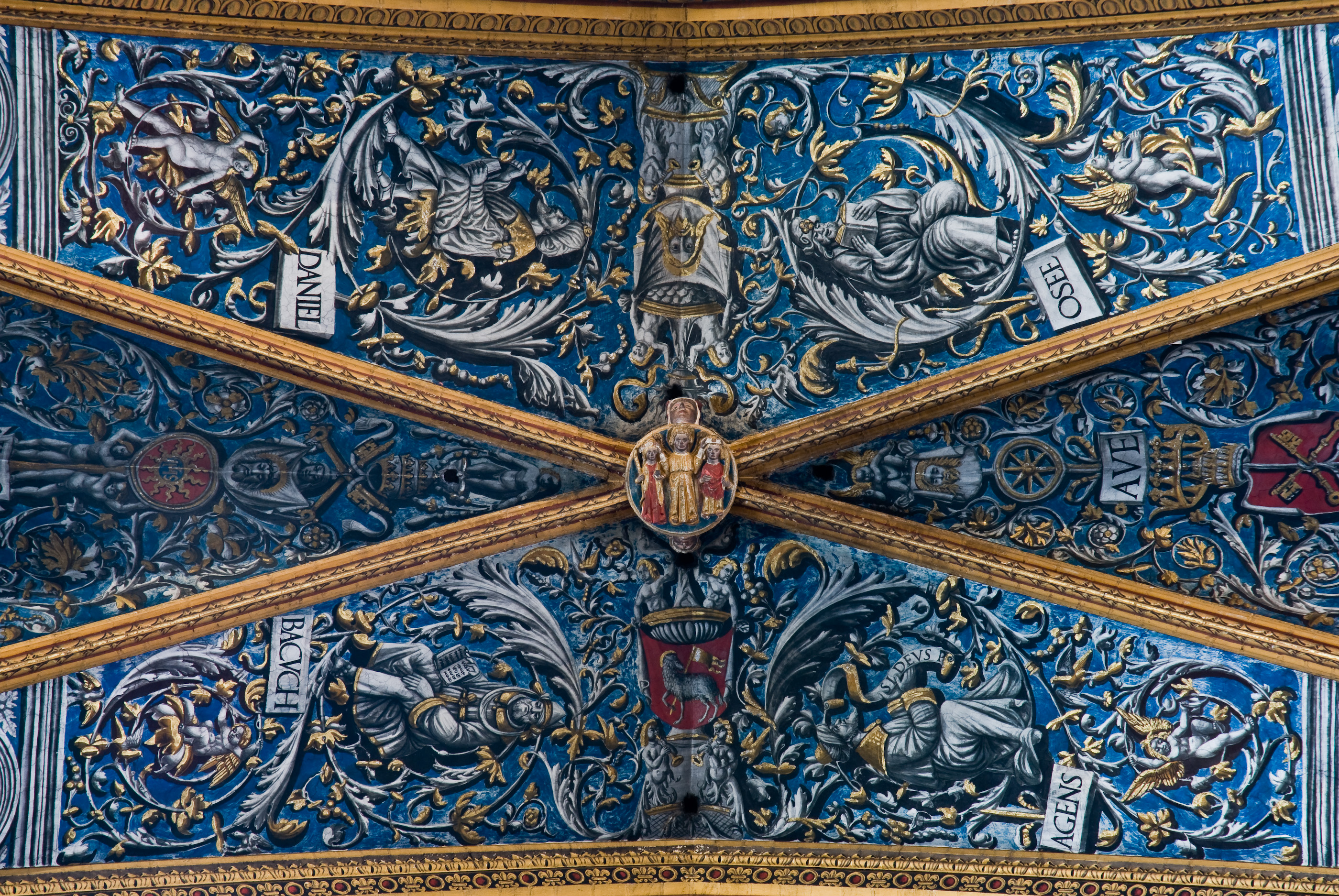 Albi cathedral - vault detail