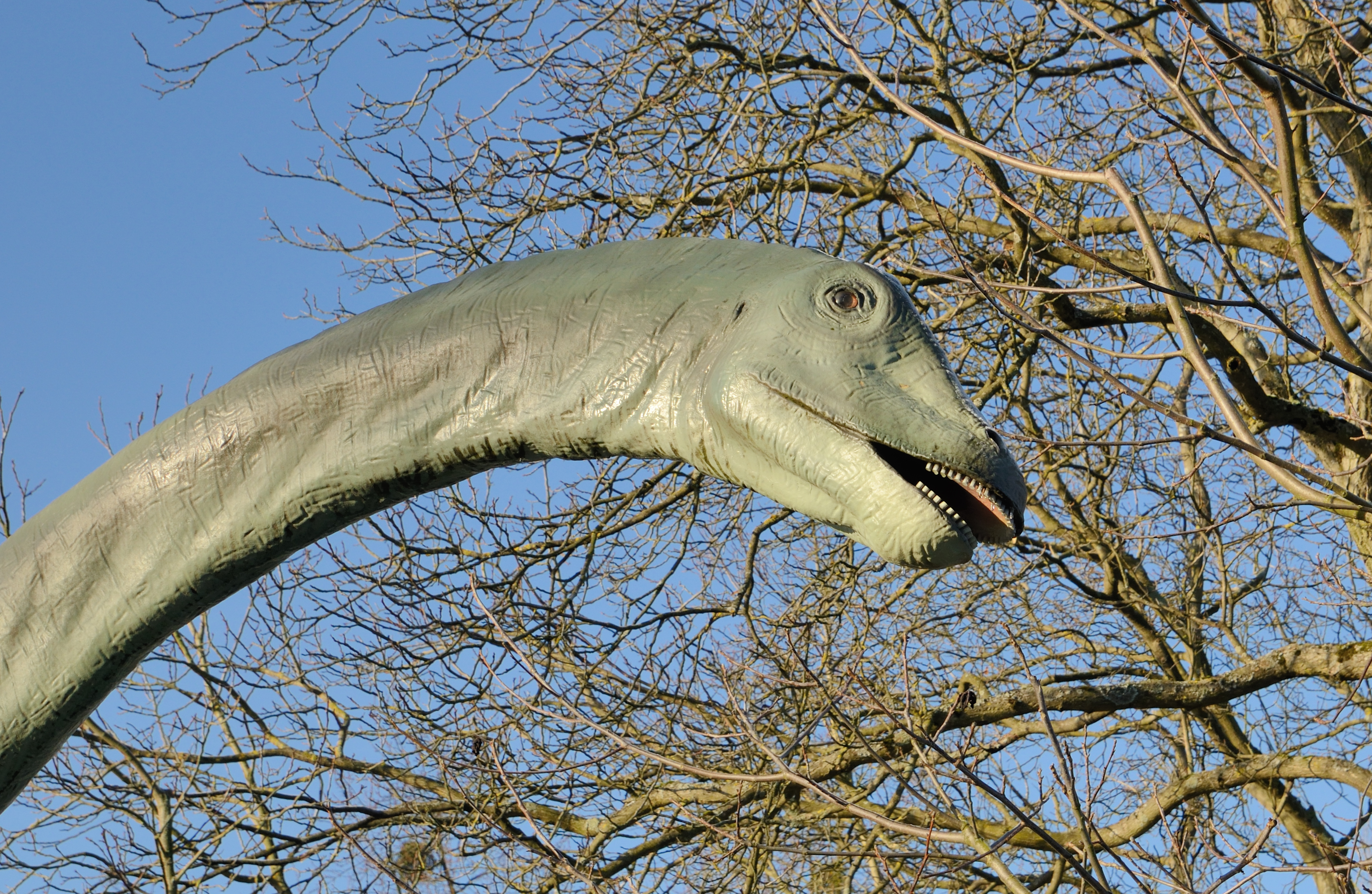 Basel - Bruderholz Dinosaurier5