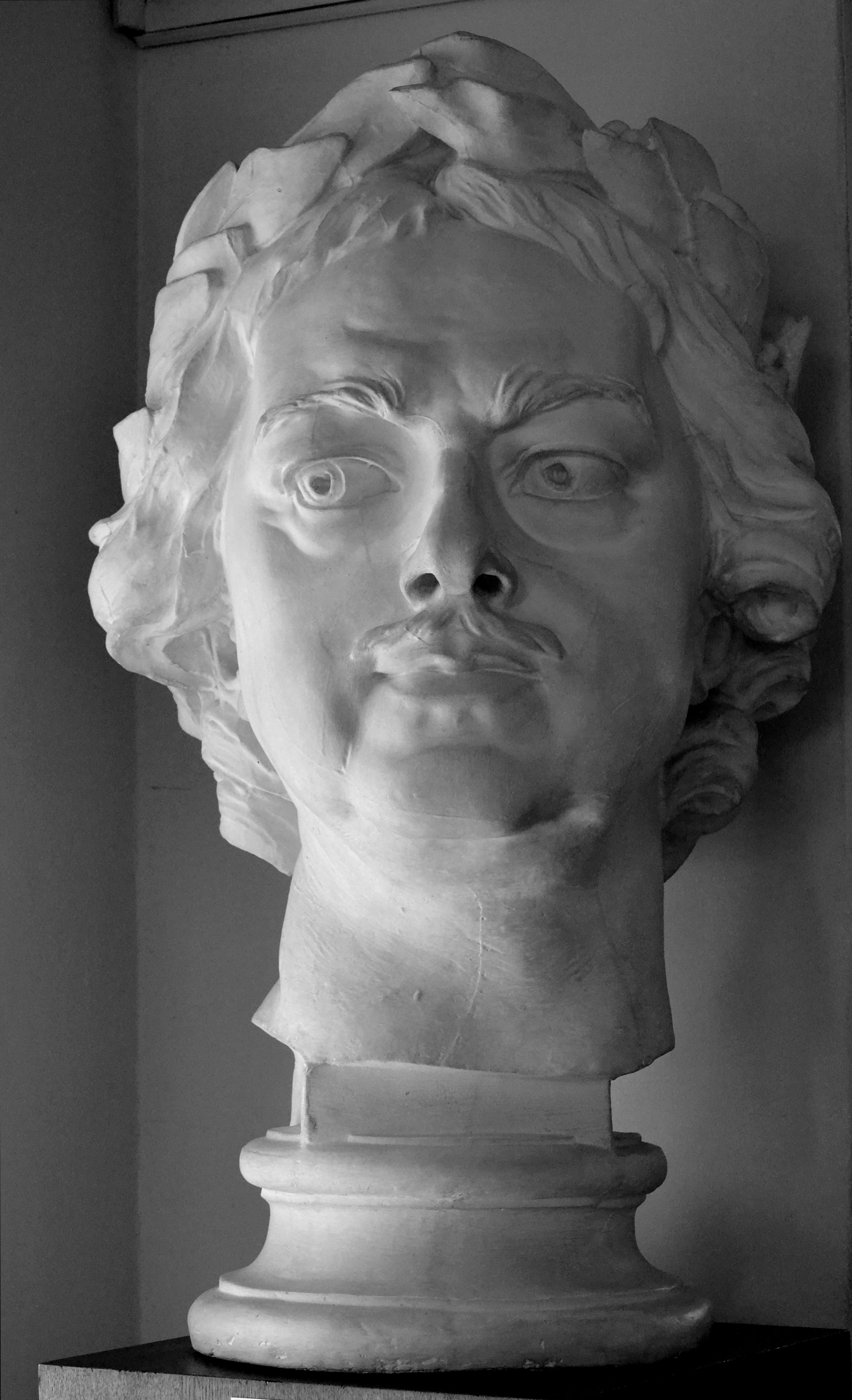 Bust of Peter the Great by Marie-Anne Collot 1770