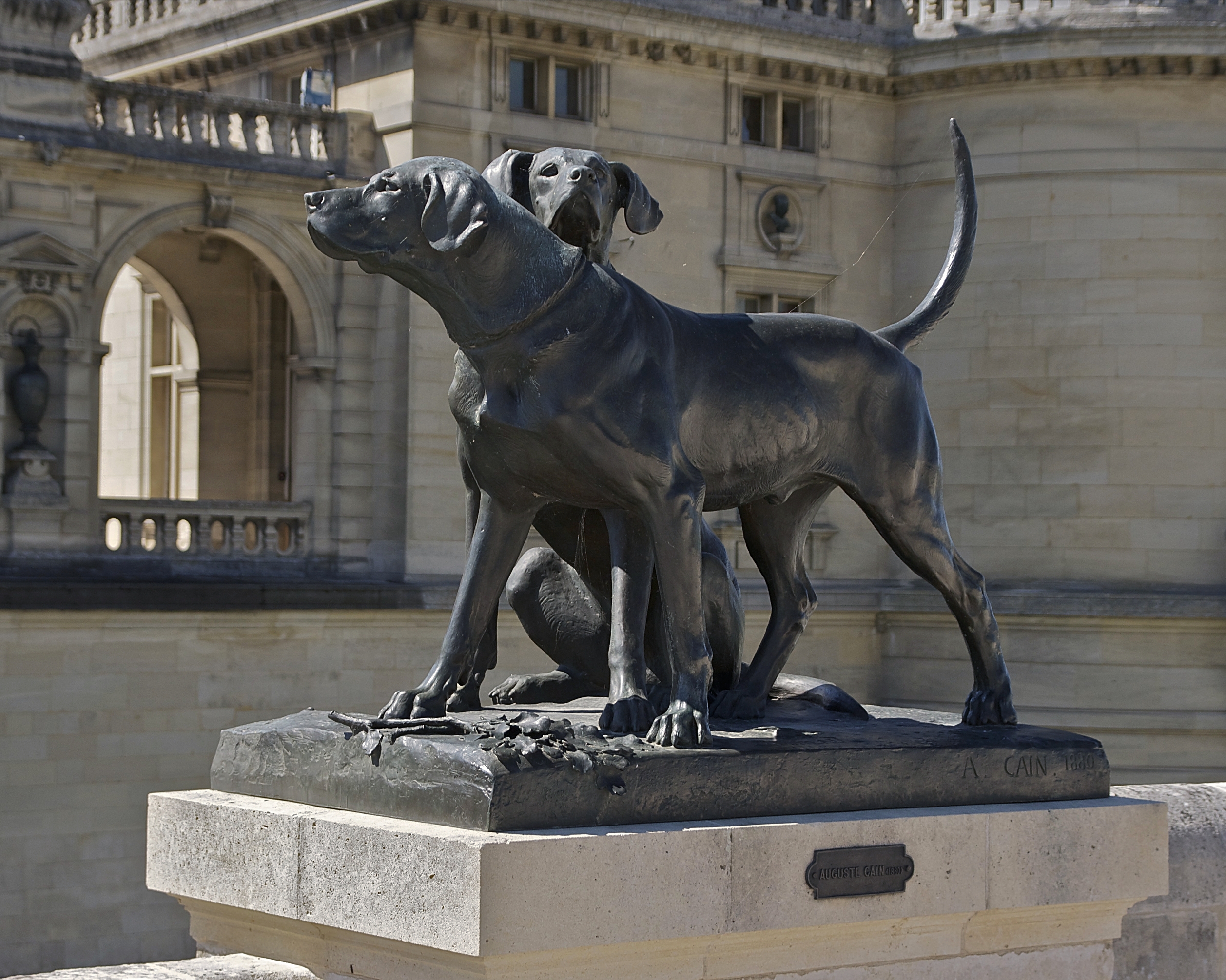 Chiens Cain Chantilly