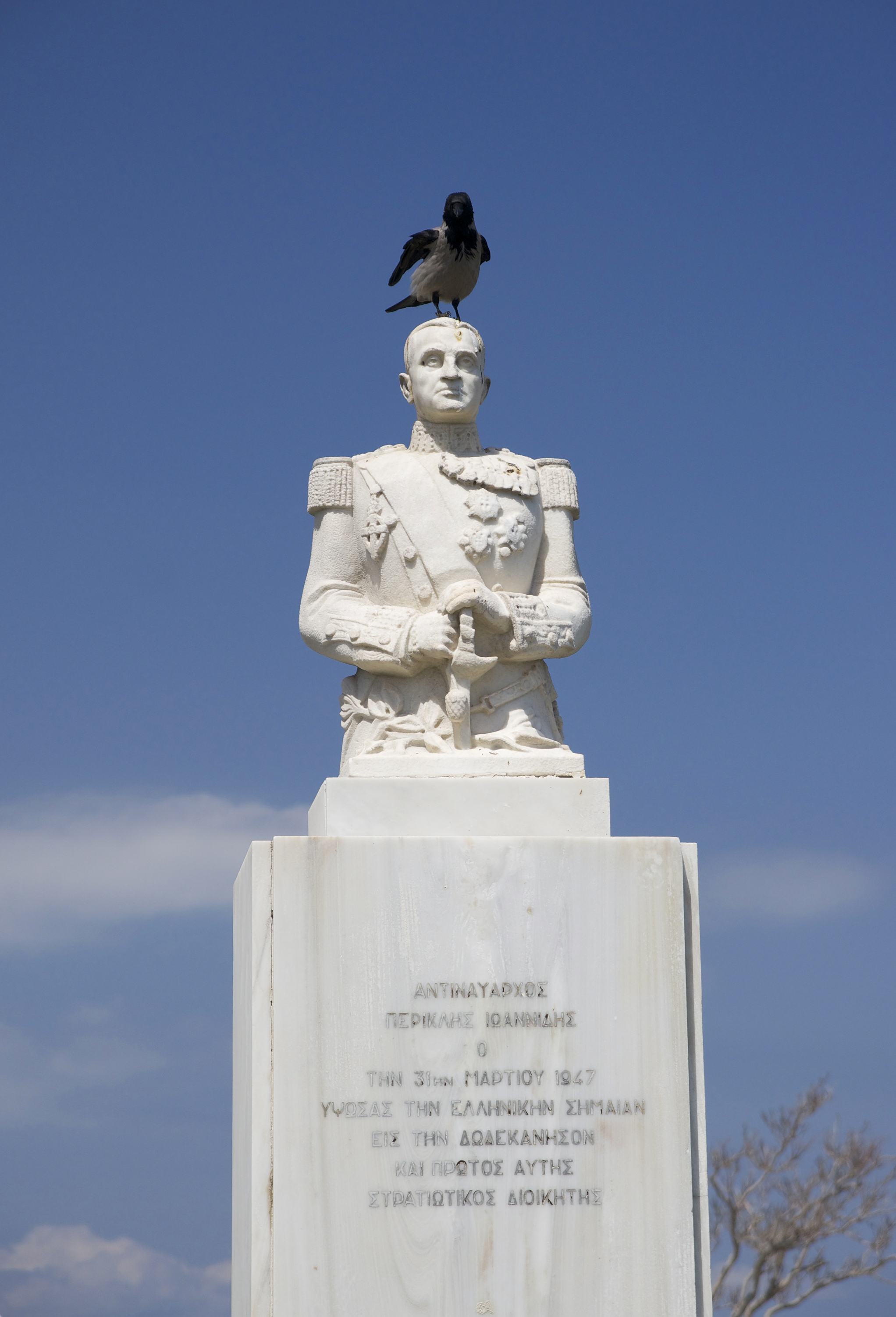 Corvus cornix amiral Pericles Ioannidis Rhodes