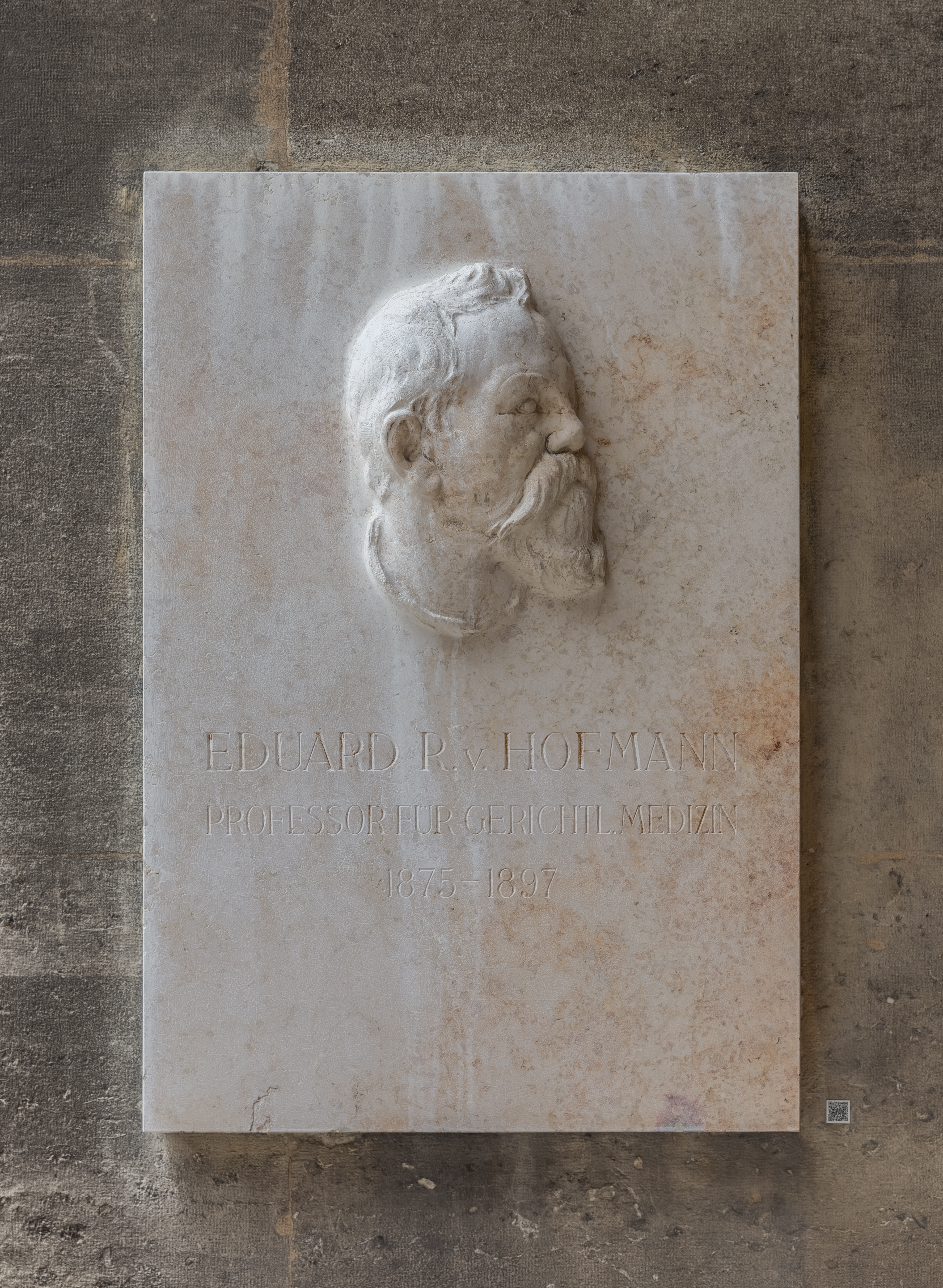 Eduard von Hofmann (1837-1897), forensic doctor, basrelief (marble) in the Arkadenhof of the University of Vienna 3805-HDR