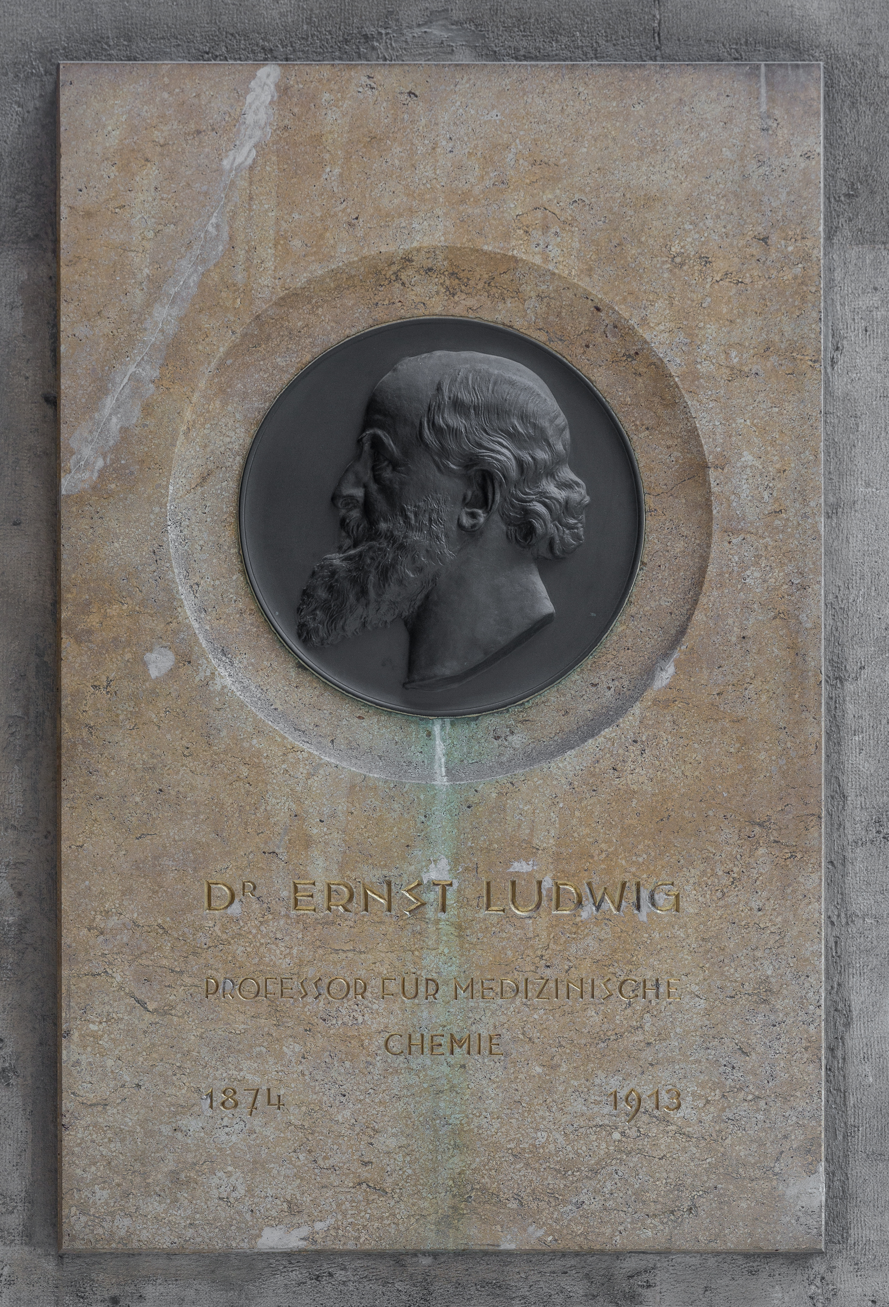 Ernst Ludwig (1842-1915) Nr. 99 basrelief (bronce) in the Arkadenhof of the University of Vienna 2523-Bearbeitet