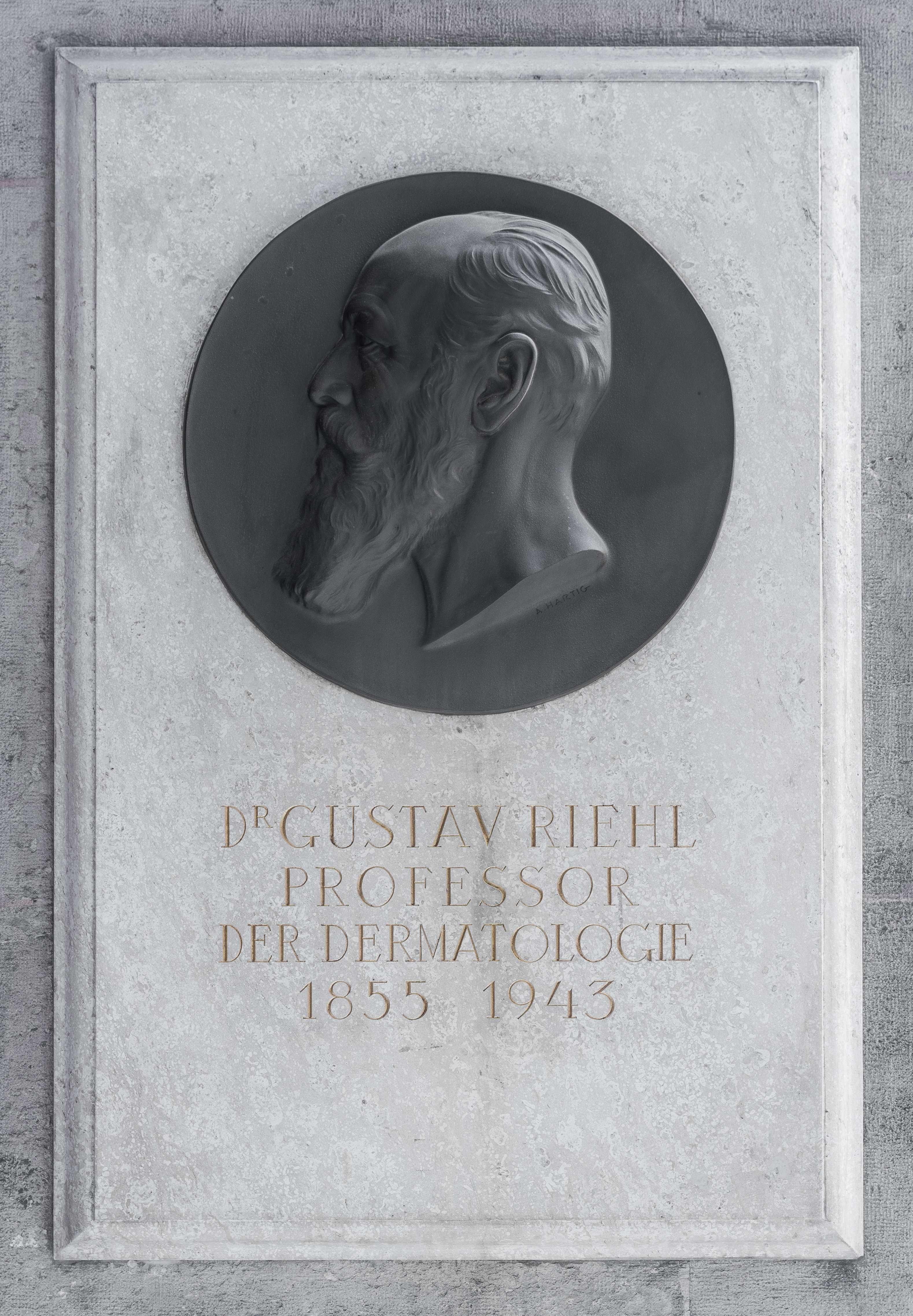 Gustav Riehl (1855-1943), Nr. 92 basrelief (bronce) in the Arkadenhof of the University of Vienna-2303-HDR-Bearbeitet