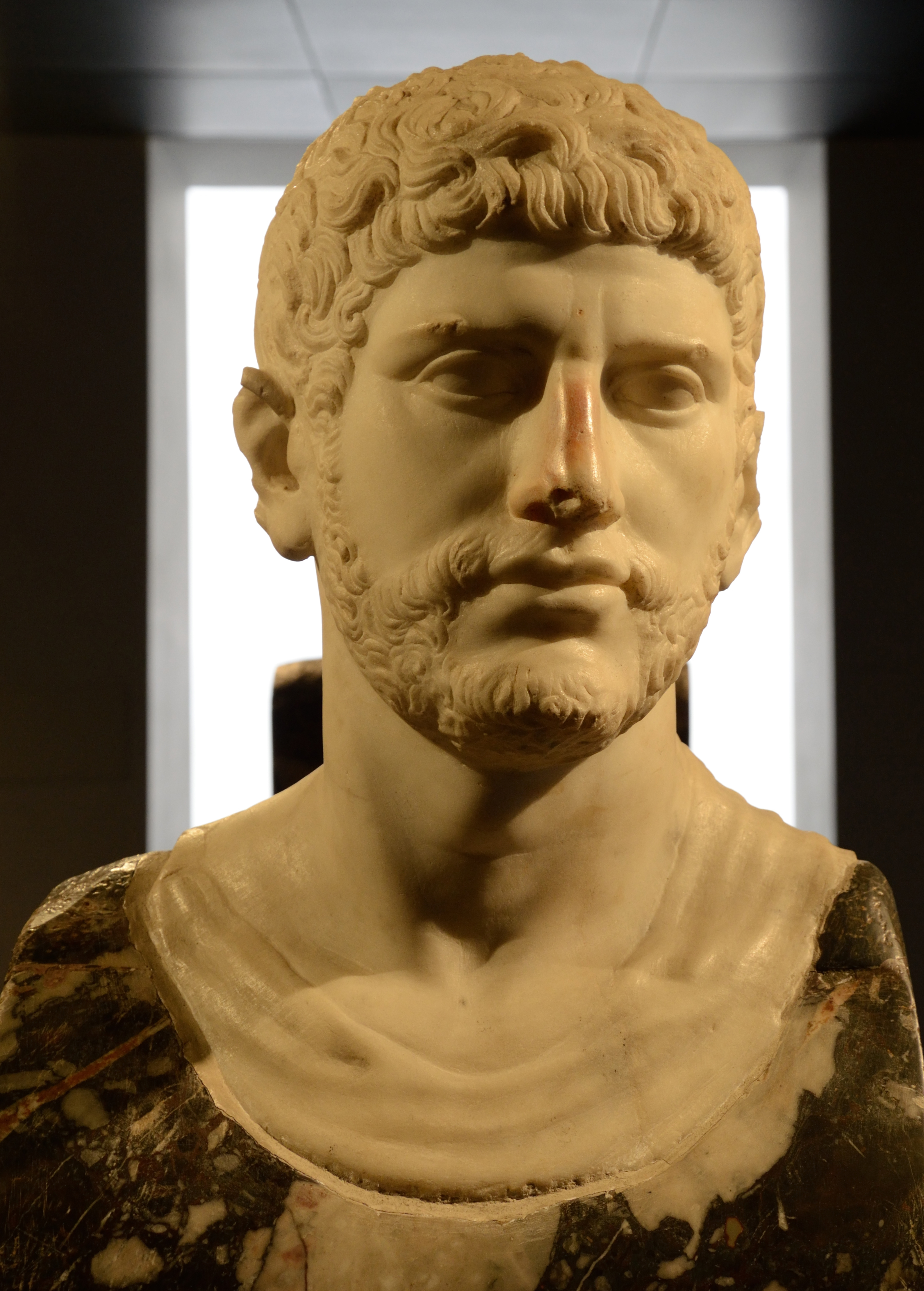 Head of bearded man in Palazzo Massimo alle Terme