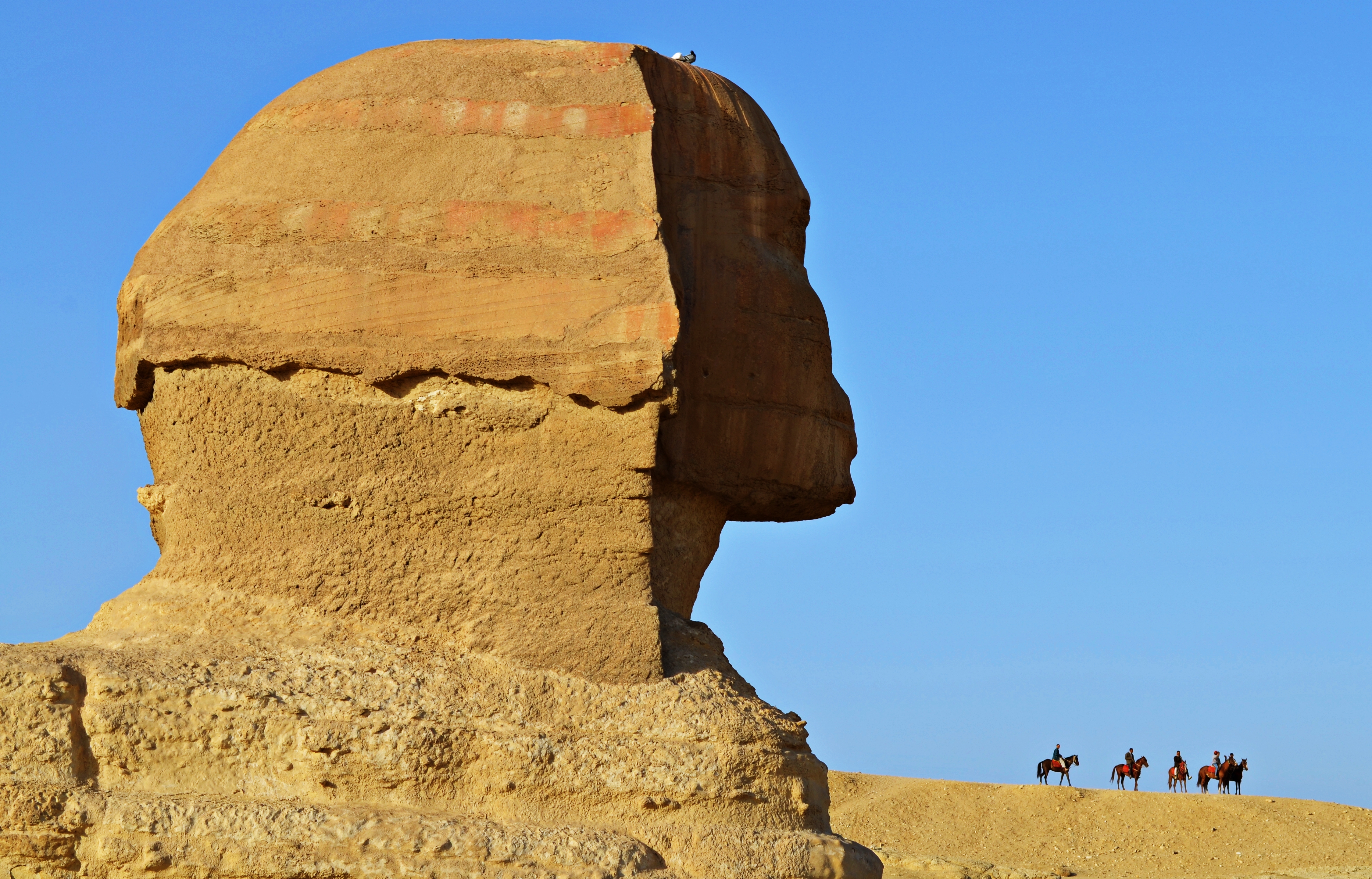 Head of the Sphinx