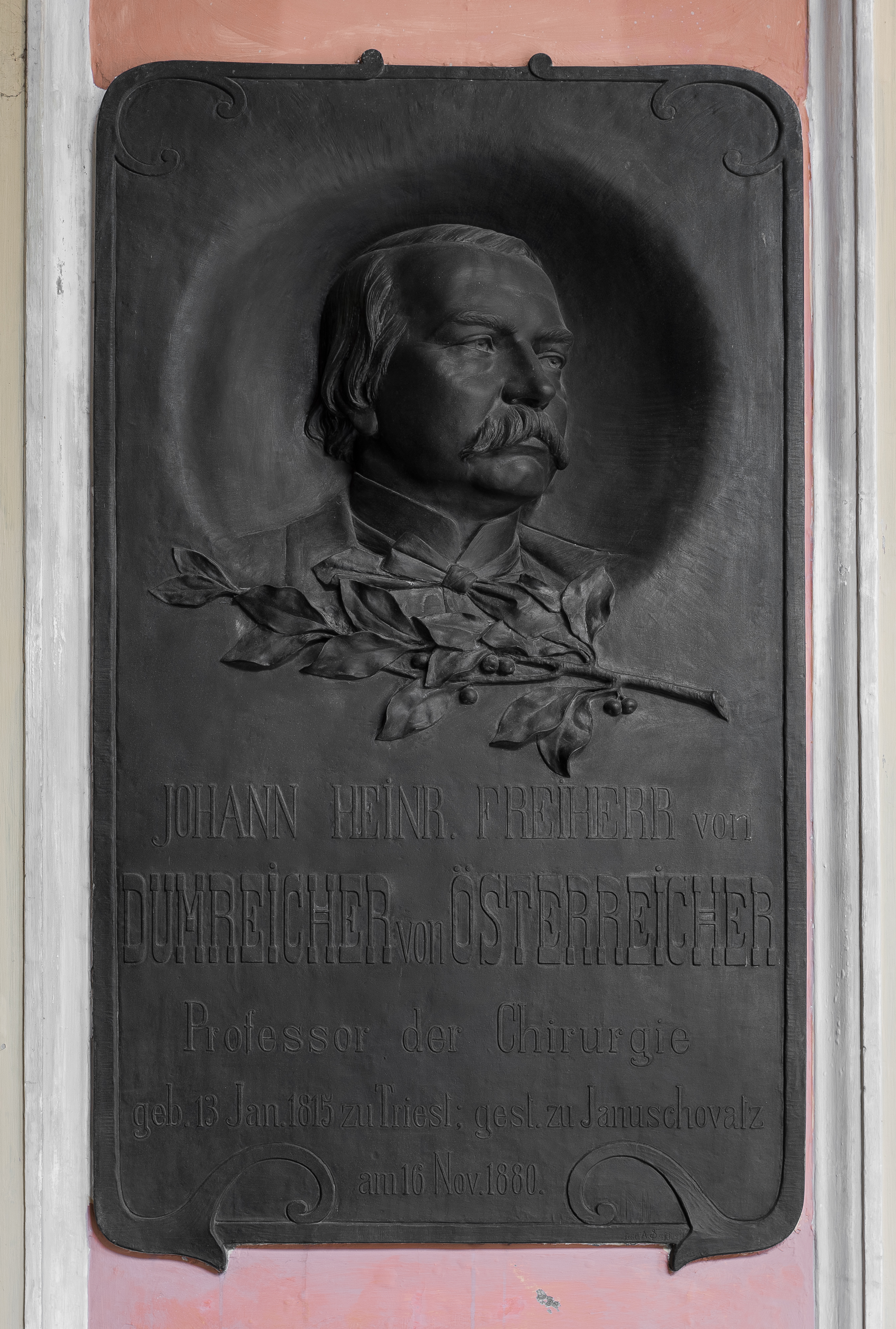 Johann Heinrich Dumreicher (1815-1880), Nr. 88 basrelief (bronce) in the Arkadenhof of the University of Vienna 1999