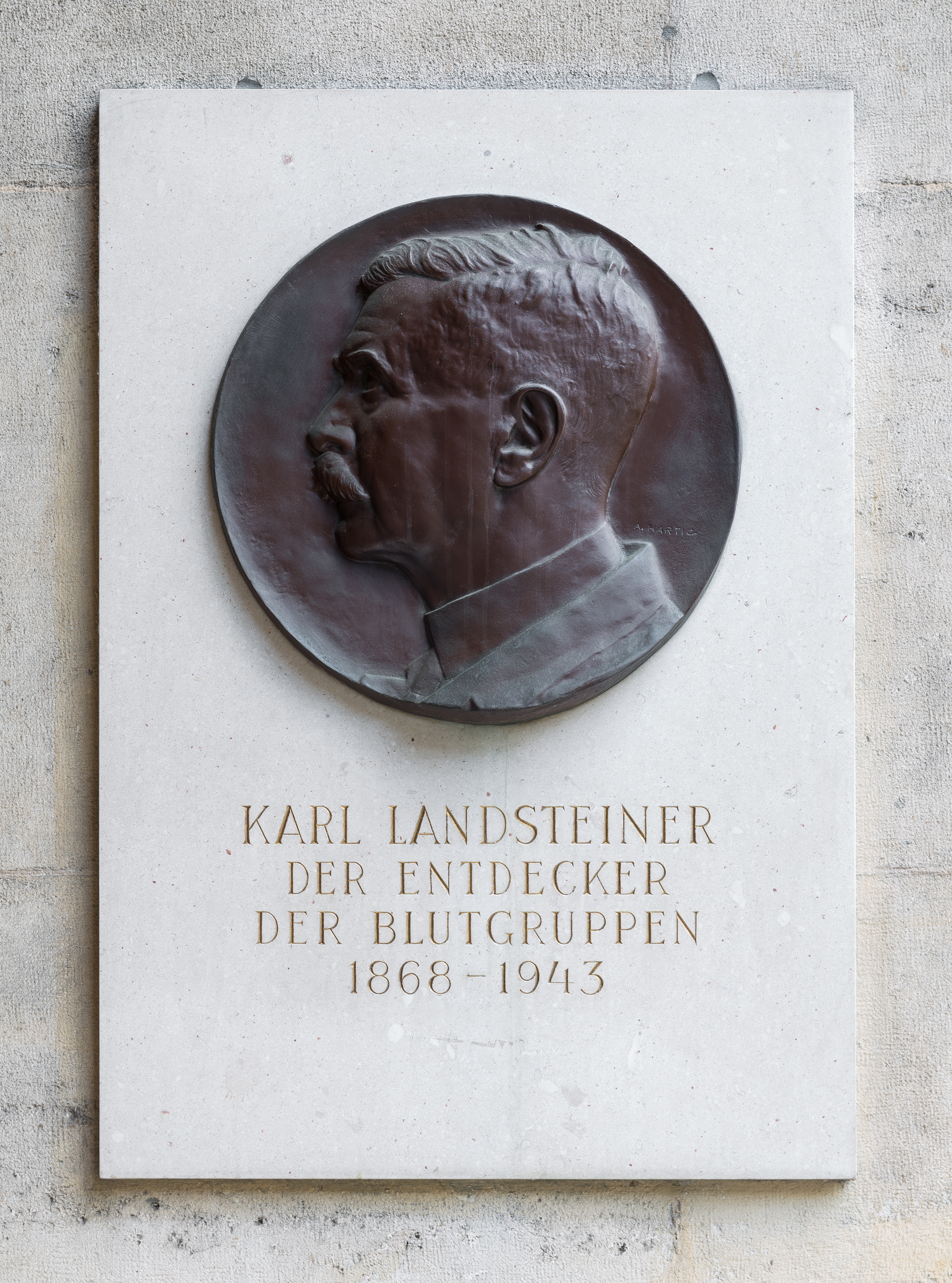 Karl Landsteiner (1868-1943), bas-relief (bronze) in the Arkadenhof of the University of Vienna-