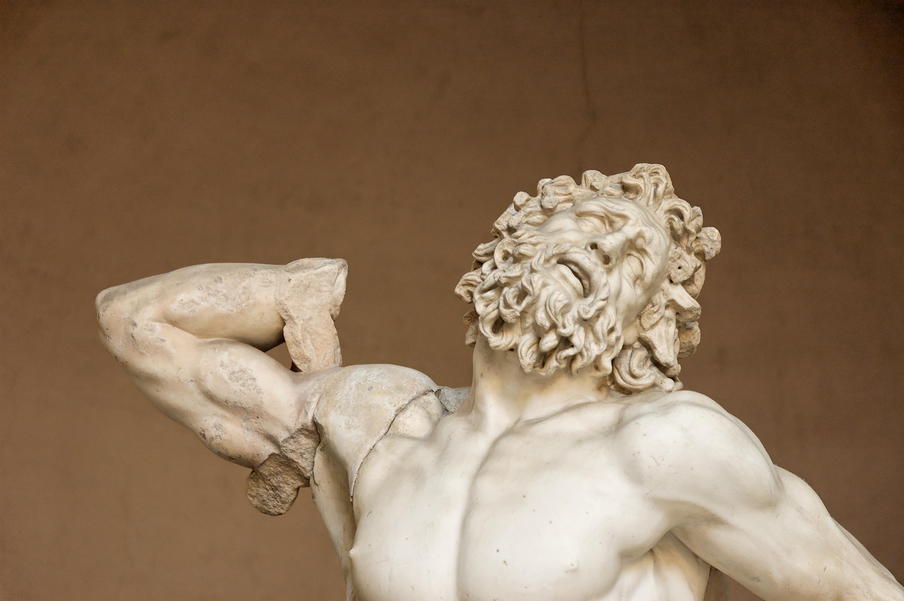 Laocoon Pio-Clementino Inv1059-1064-1067 n2