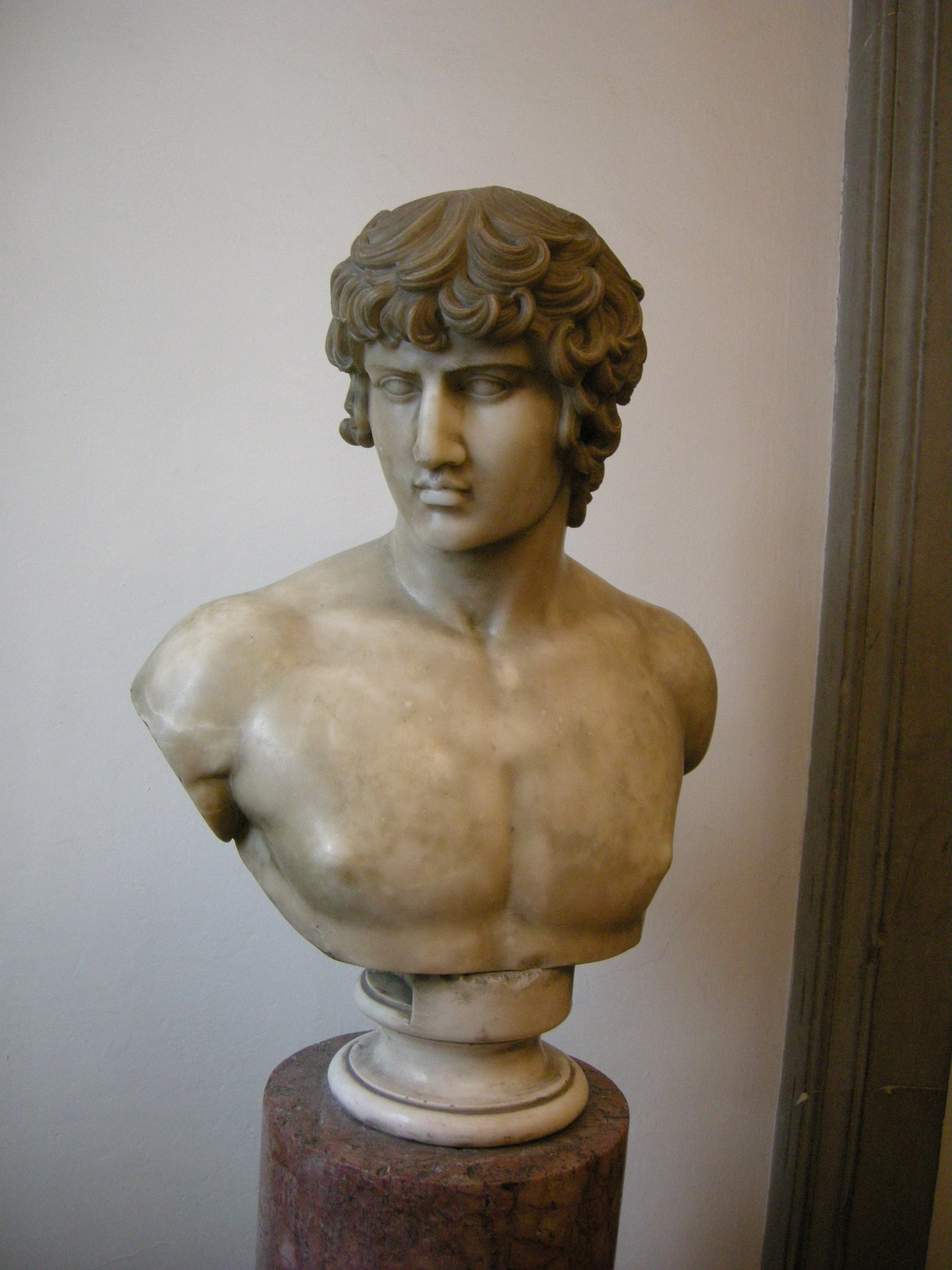 Pal vecchio, busto antinoo